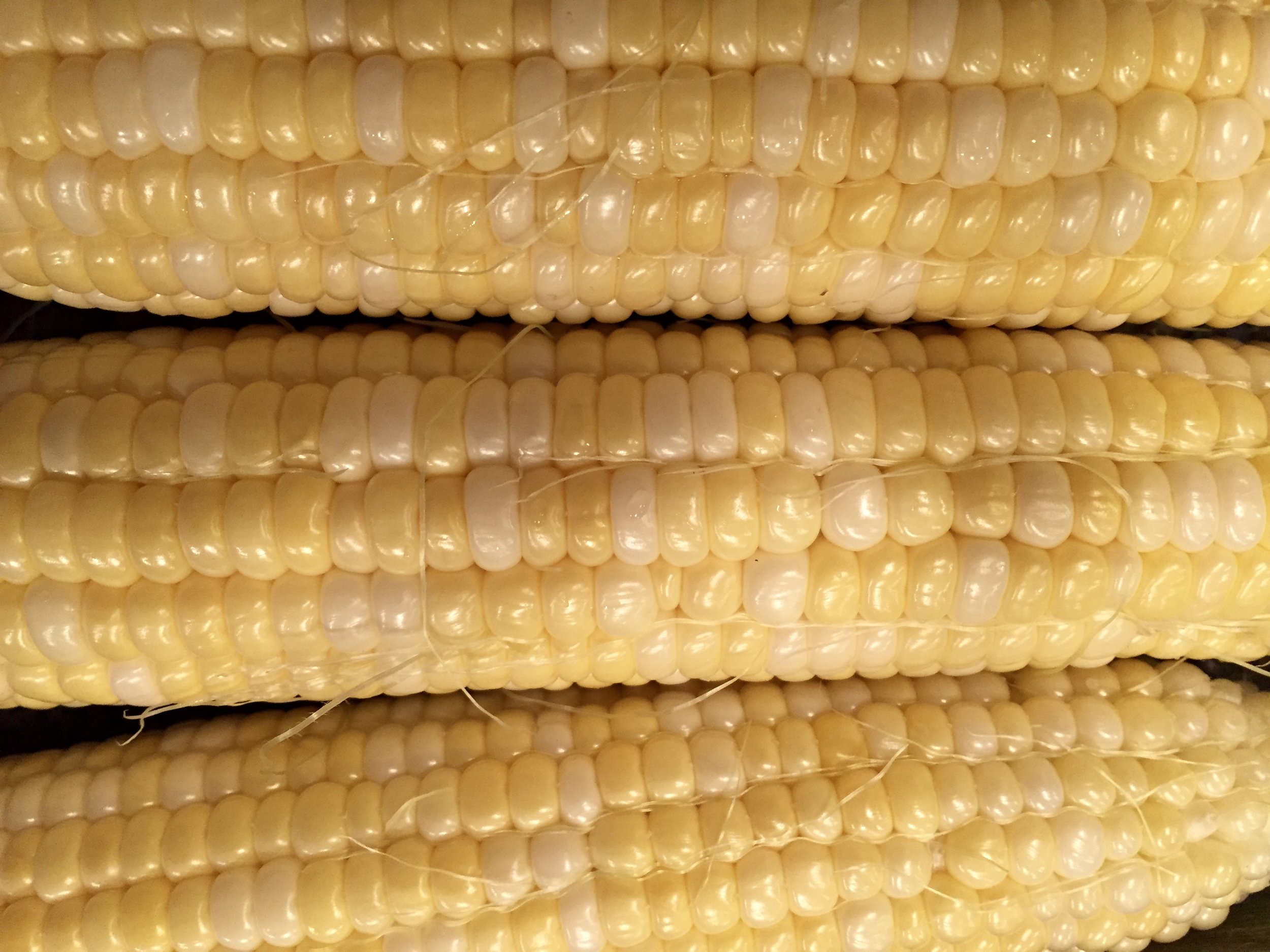 Life Can Be Like an Ear of Corn