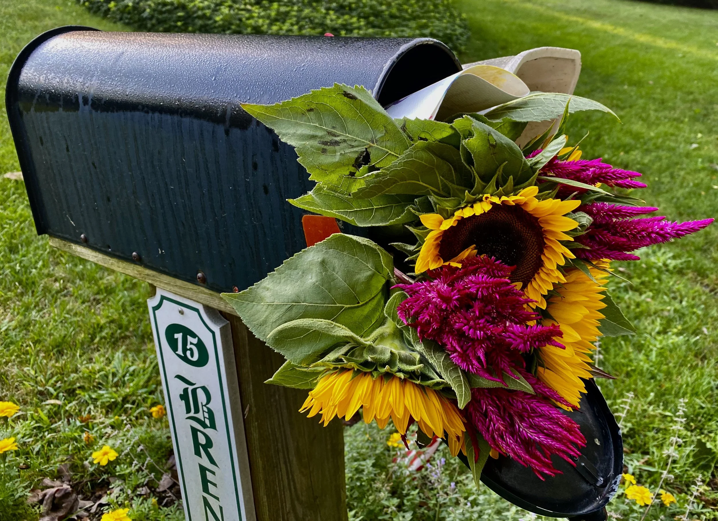 Trying to Fit It All In