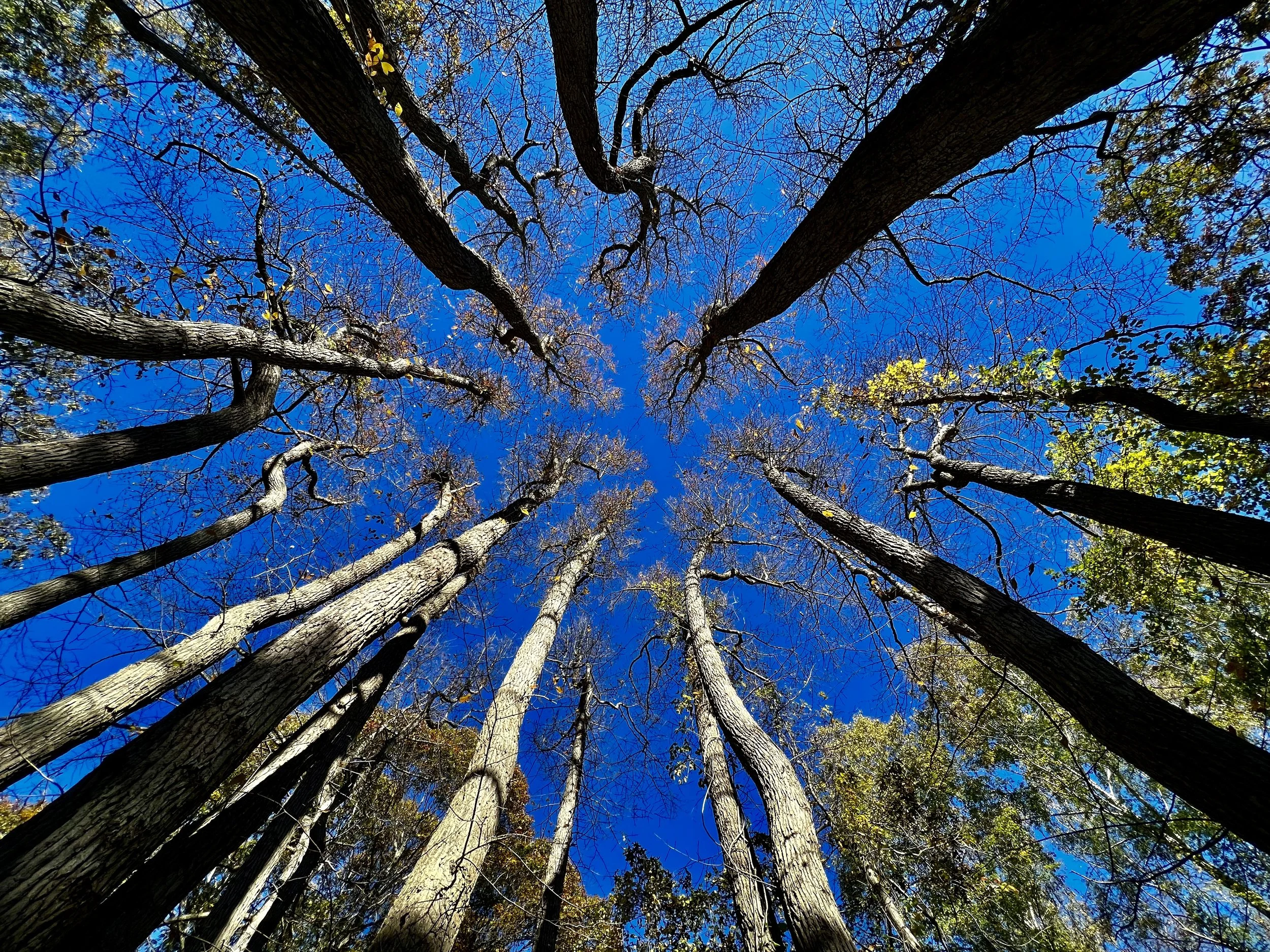 Too Much Information