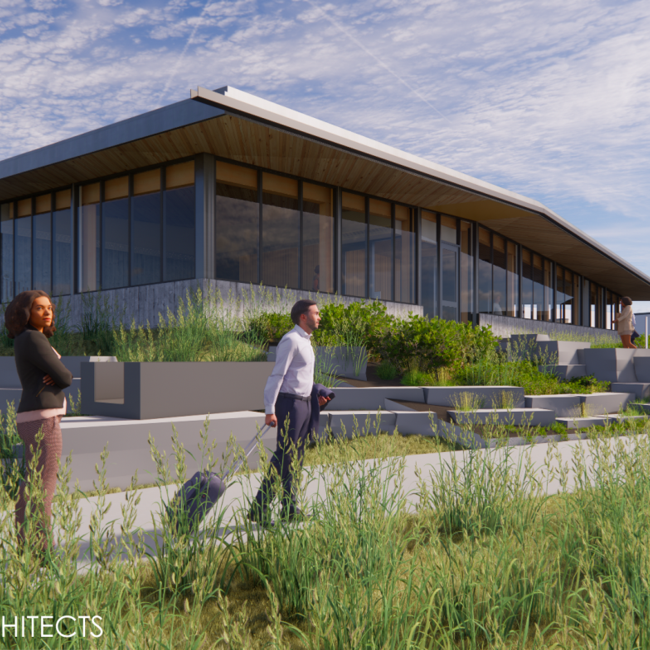 Ambitious Reuse: How to Make Reclaimed Wood Scalable for Structural Applications in Commercial Construction