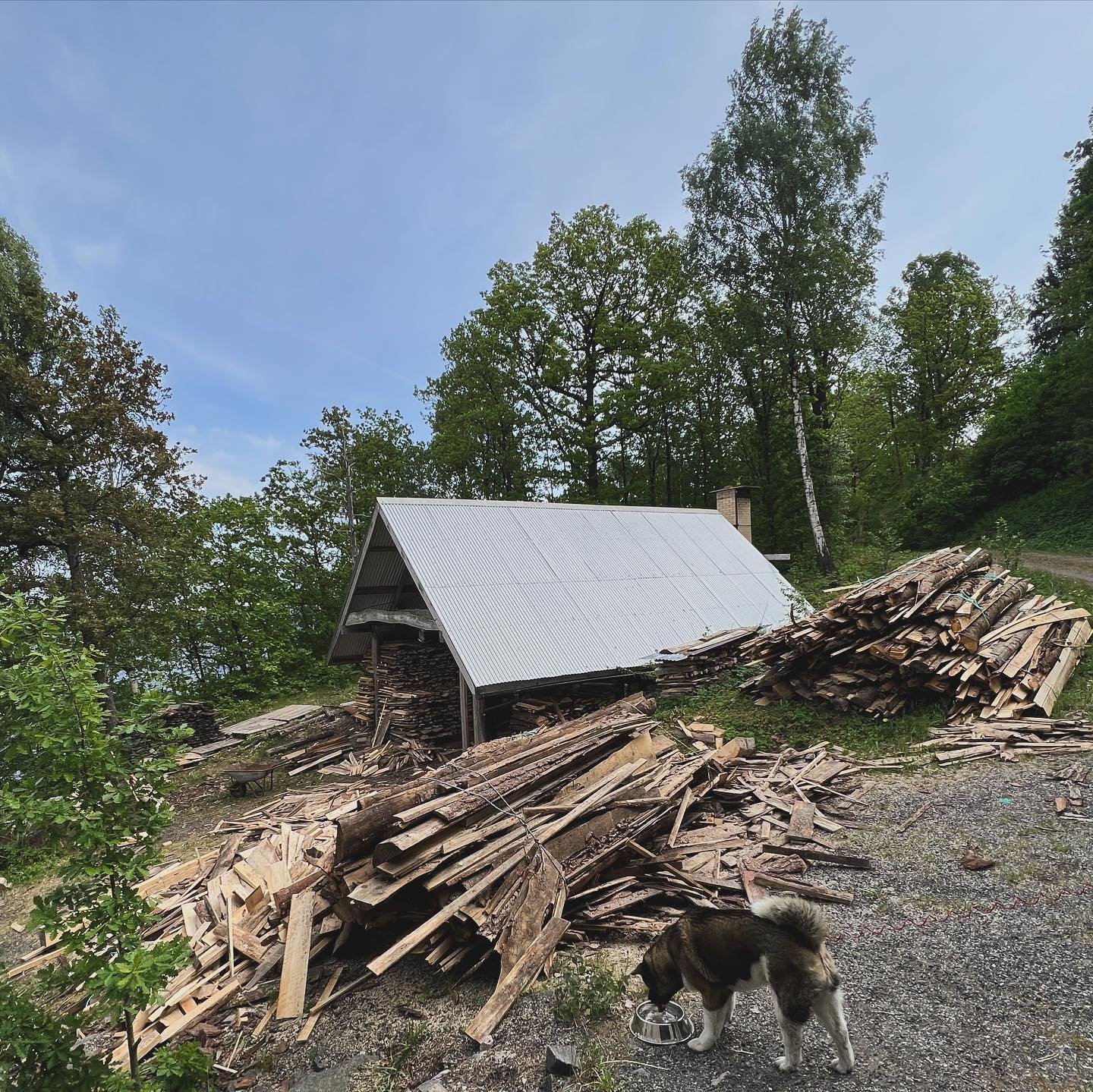 Good and productive day of wood prep for our fall firing. Great way to get back into work mode after two wonderful weeks in Scotland.