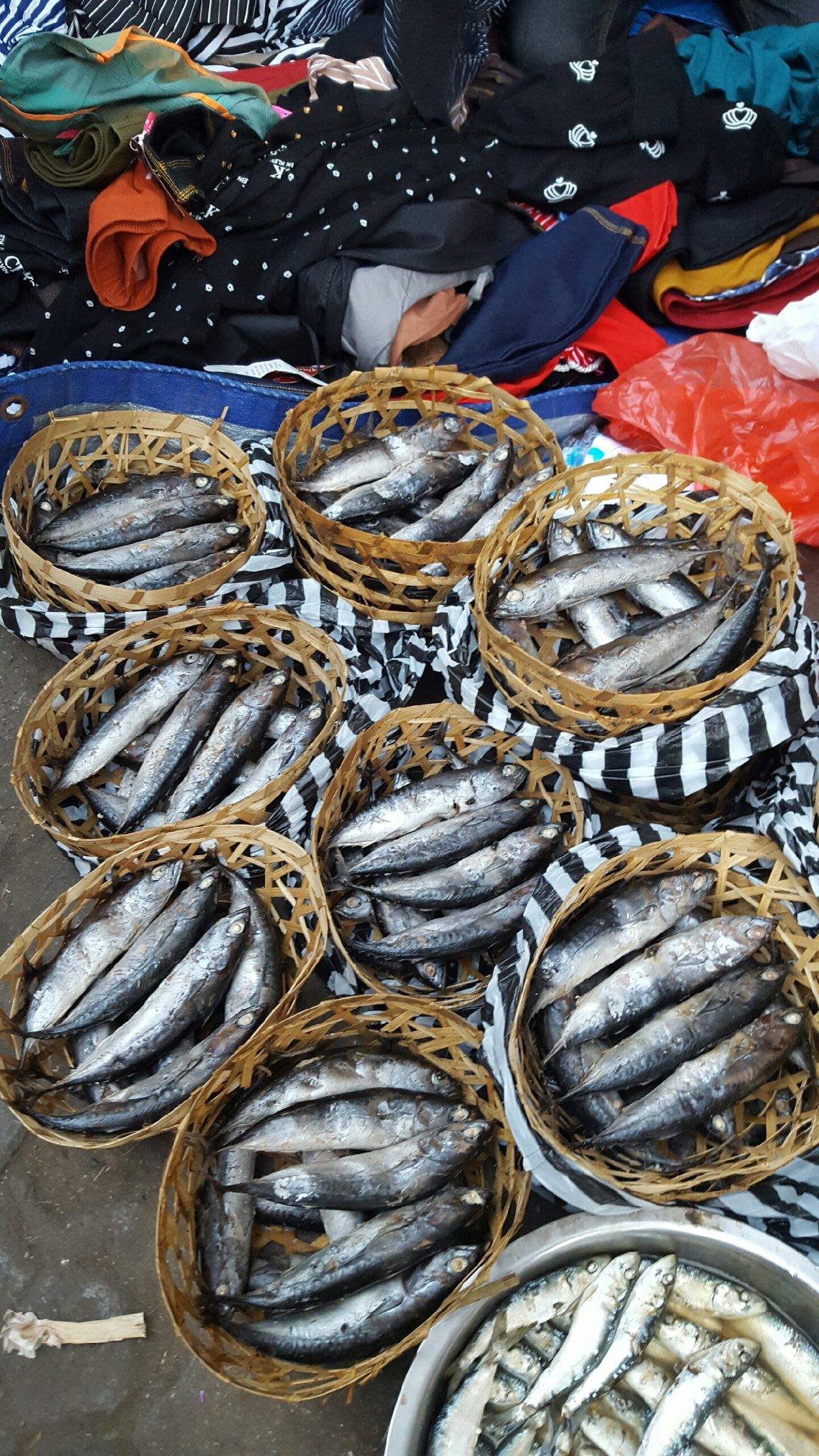 market fish in fabric trimmed baskets.jpg