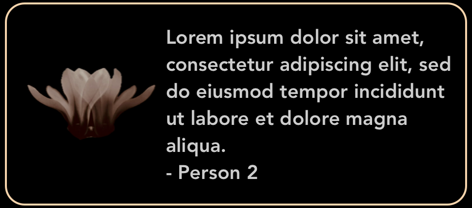 Testimonial 2.png