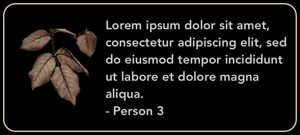 Testimonial 3.png