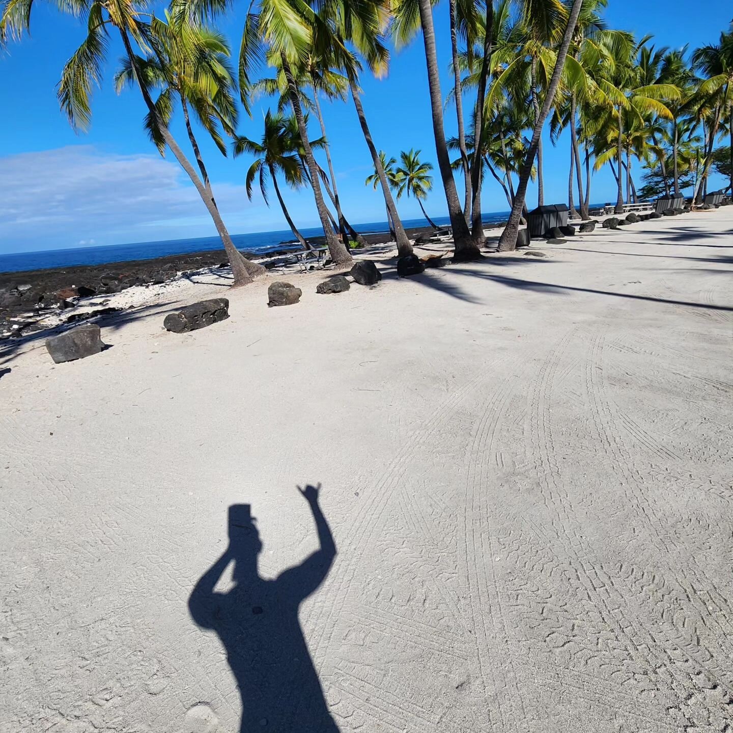 🤙 Shaka from the Big Island 🏝  #islandvibes #hiking #islandtime #oceanview #palmtrees #sillouette #shaka #oceanside #pacific #aloha #skyline #skyscape #skycolors #islandthoughts #morningwalk #blueskies #sundown