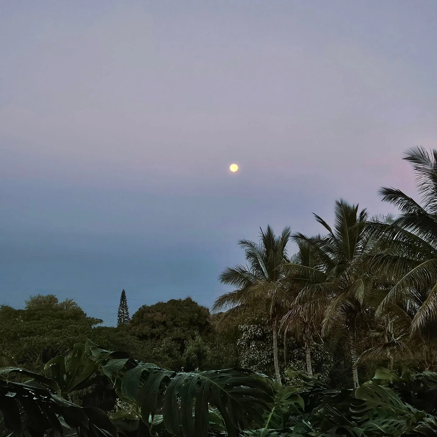 🌕 Good Morning S. Kona! 
#moonstruck #moonlight #moonphoto #fullmoon #moonglow