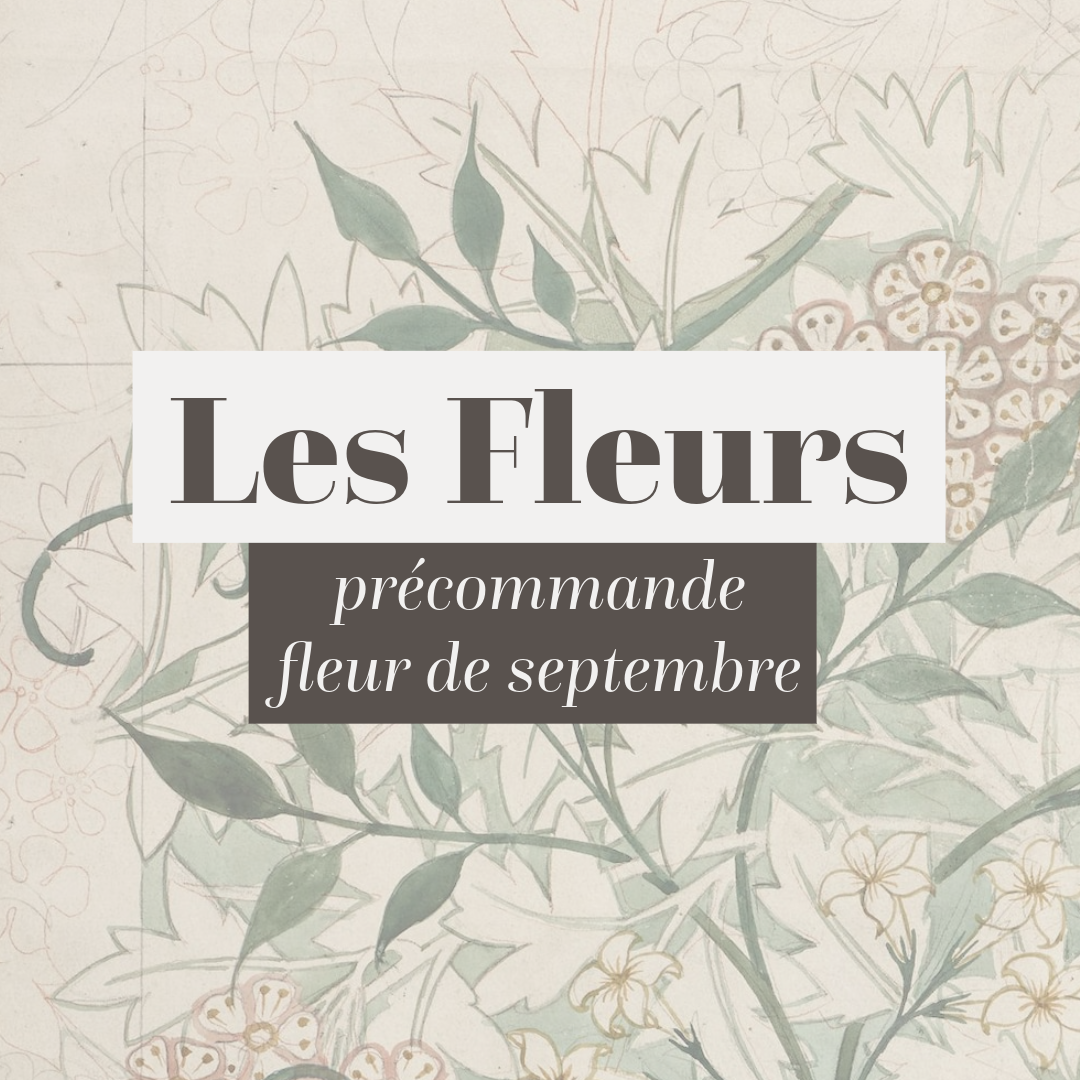 Précommande pour les fleurs de septembre 2024