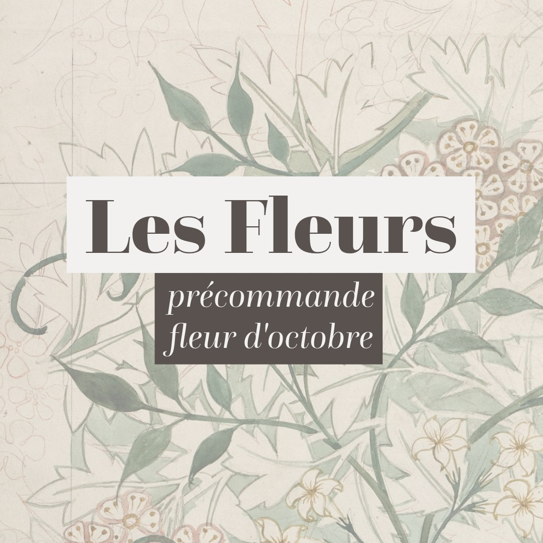 Précommande pour les fleurs d’octobre 2024