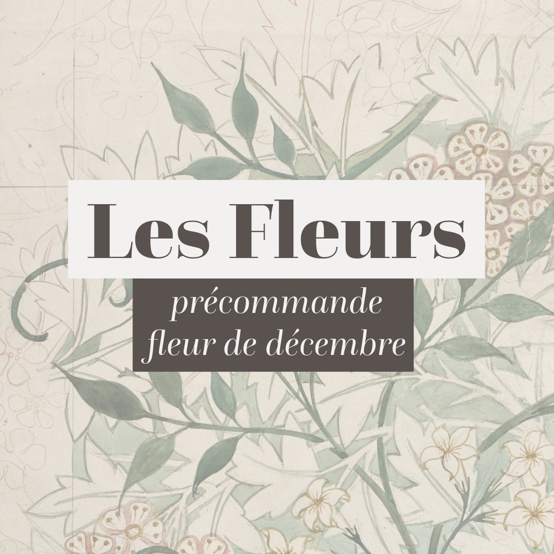 Précommande pour les fleurs de décembre 2024