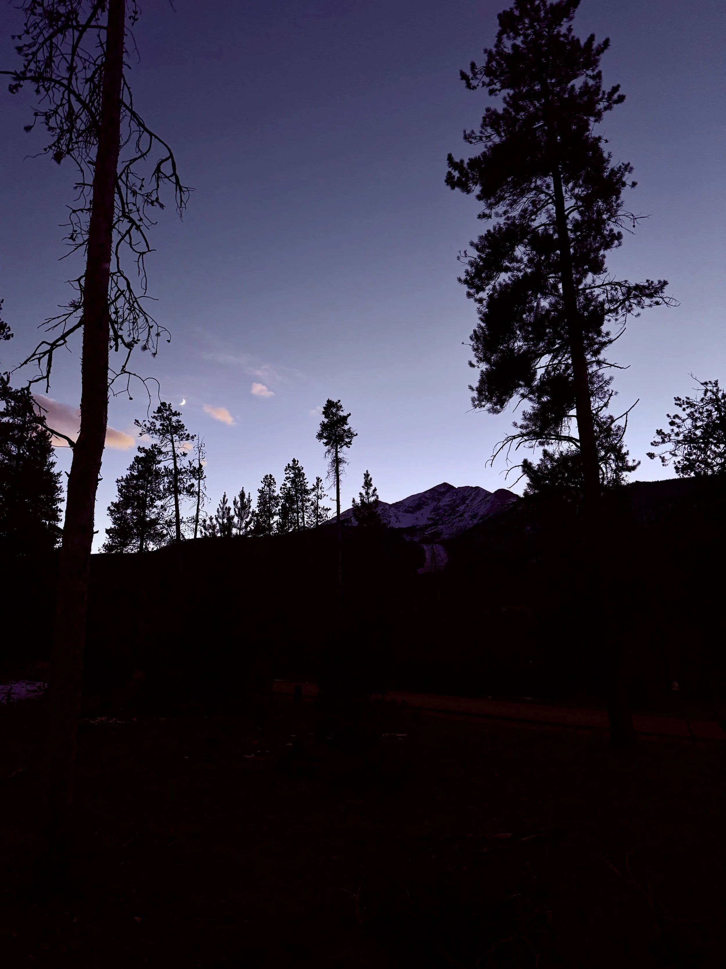 Twilight scene of a mountain landscape with tall pine trees silhouetted against a purple and blue sky, a faint crescent moon visible near the horizon.