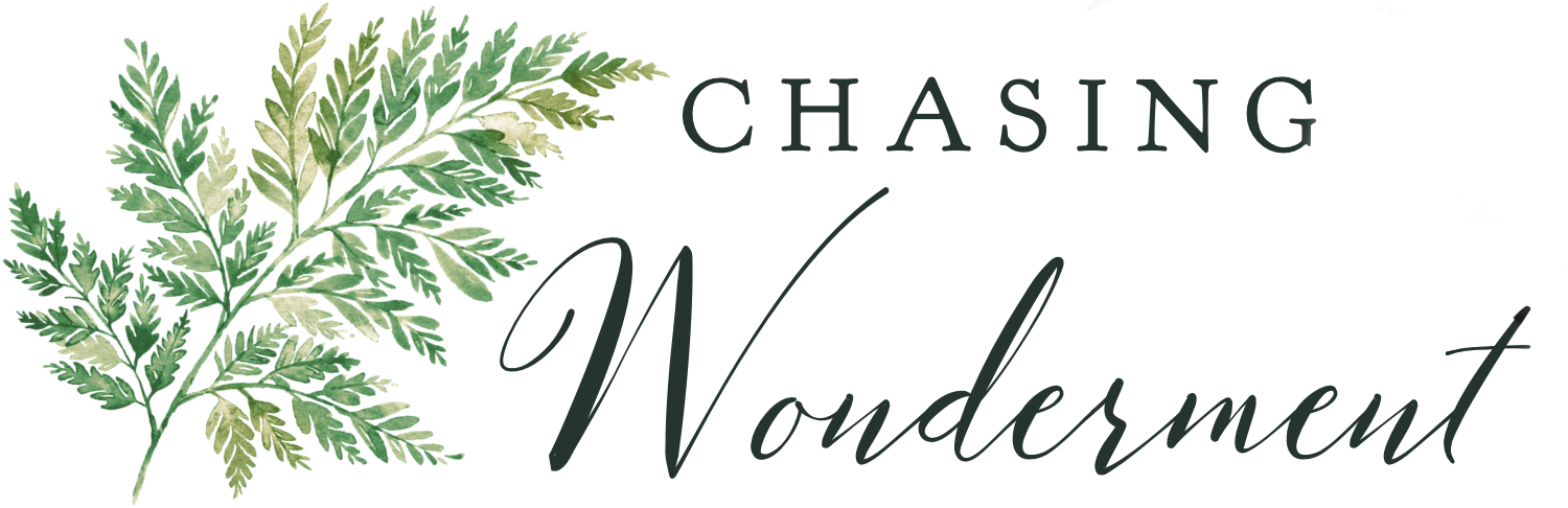 Chasing Wonderment &mdash; Tools and Encouragement for Intentional Living