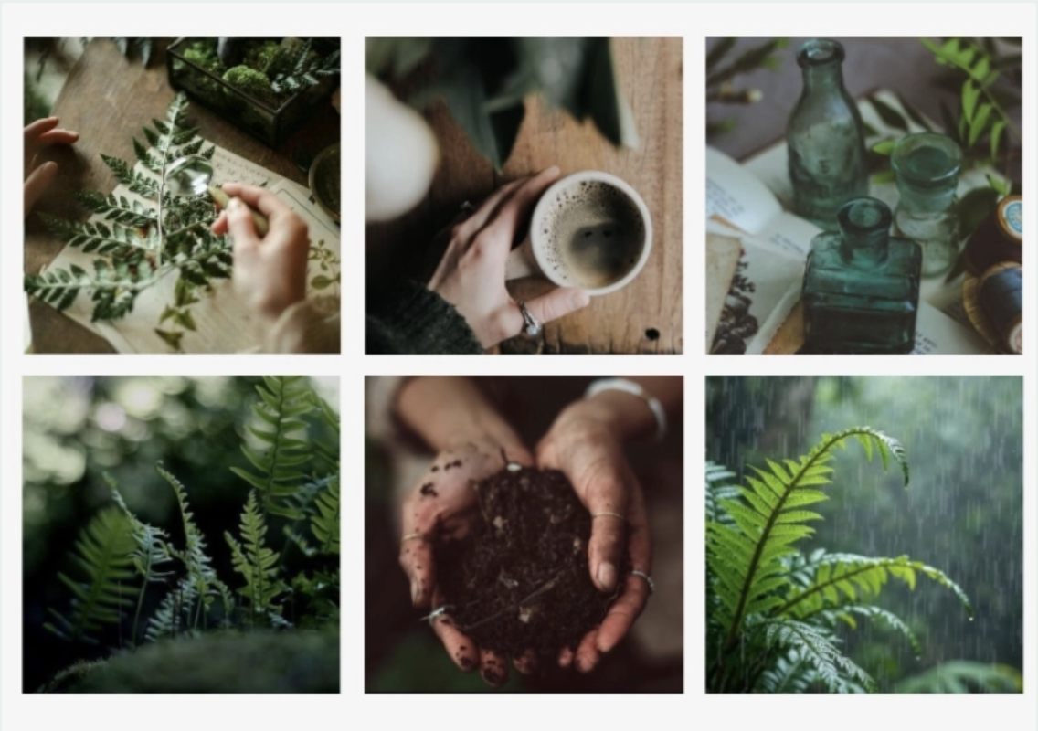 Cozy and adventurous brand inspiration images for Chasing Wonderment, featuring warm textures, nature elements, and intentional living aesthetics