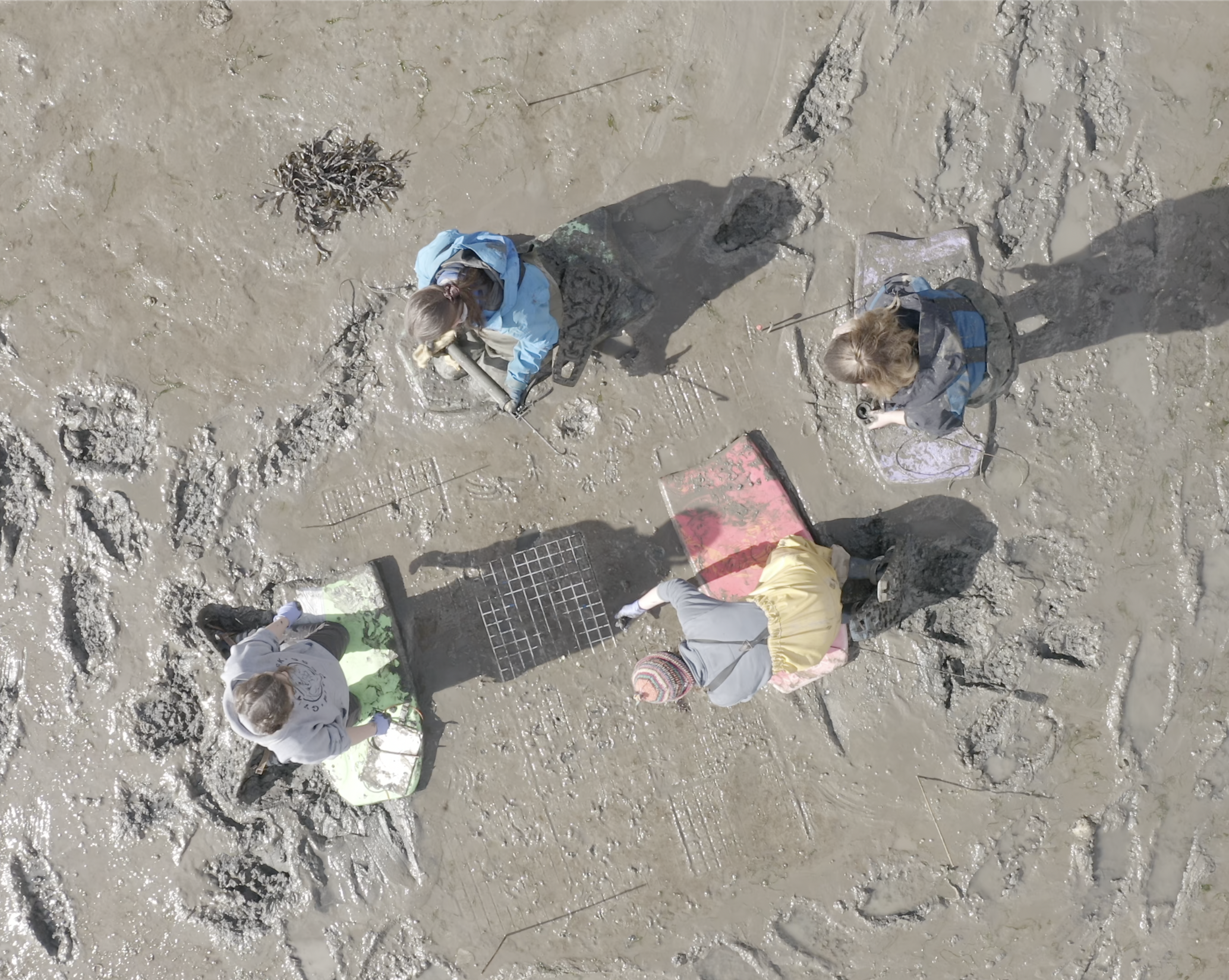 DIY Marine Restoration