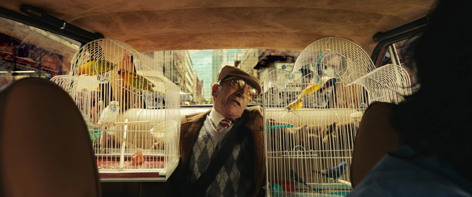 bl_scene_DC_mastergrade_tk_master_directors_cut_publish_grd003.0000559.jpg