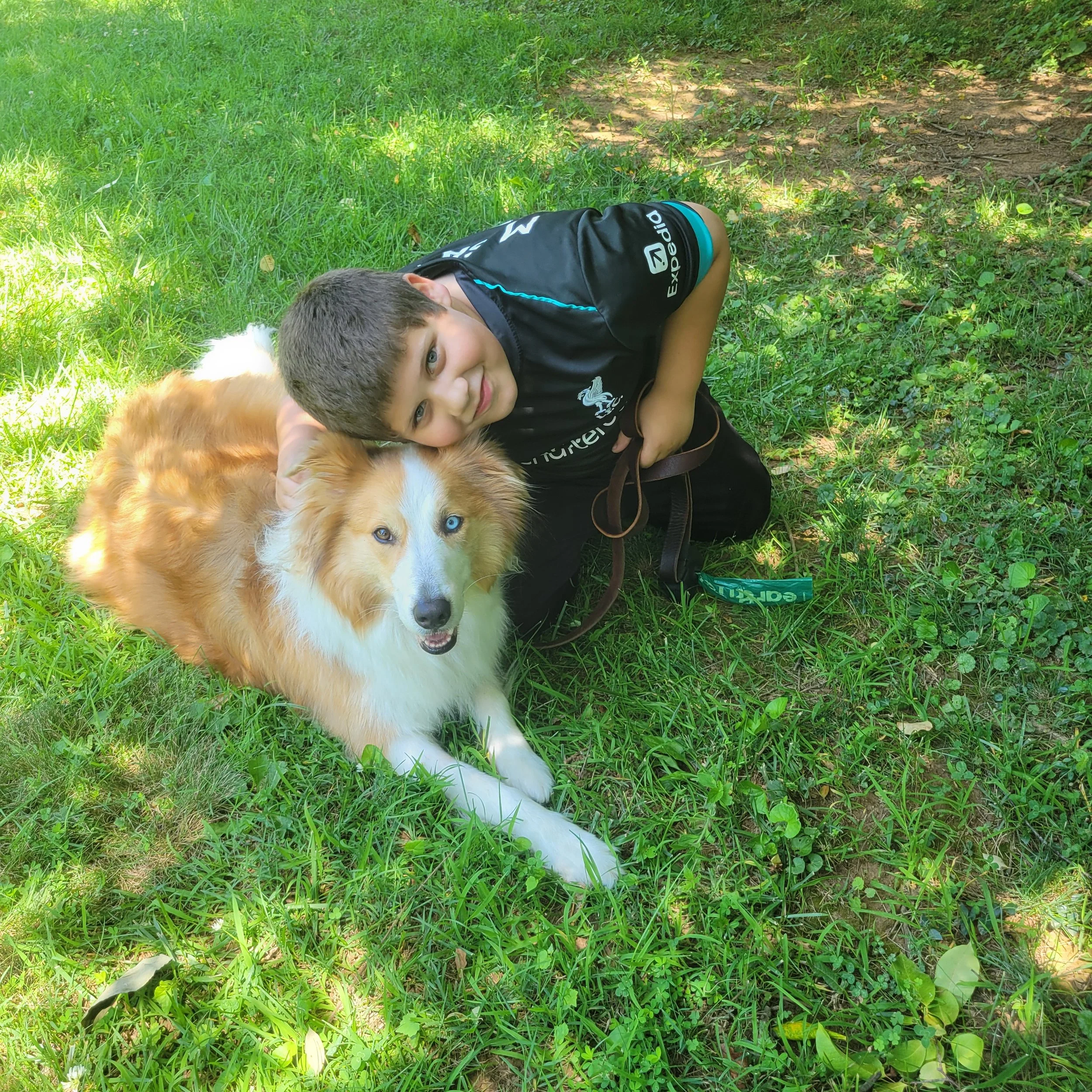 Blessings of the pets