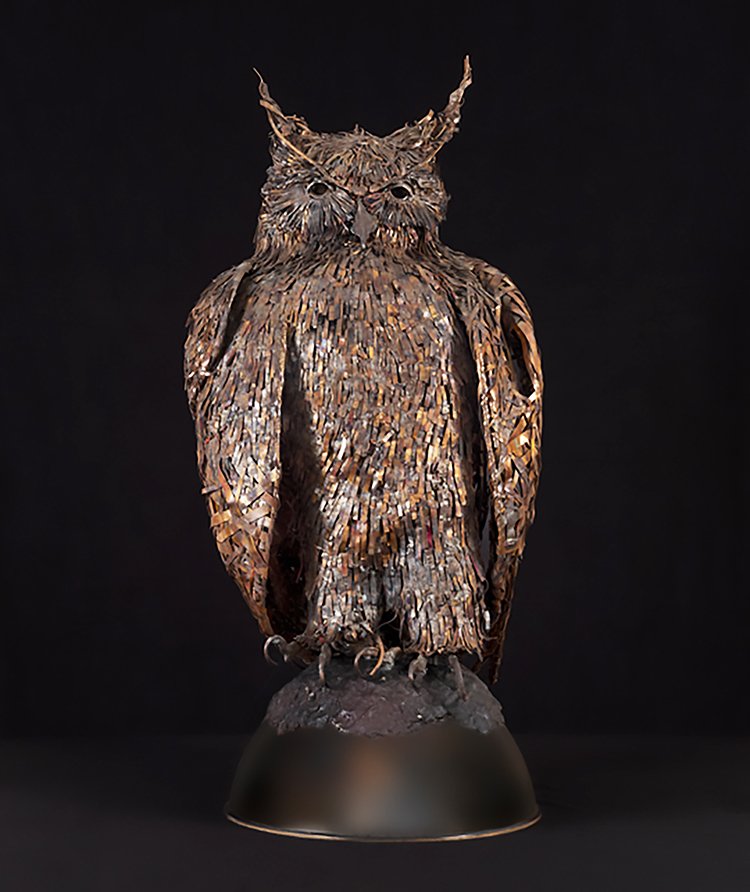 website Owl oklahoma full.jpg