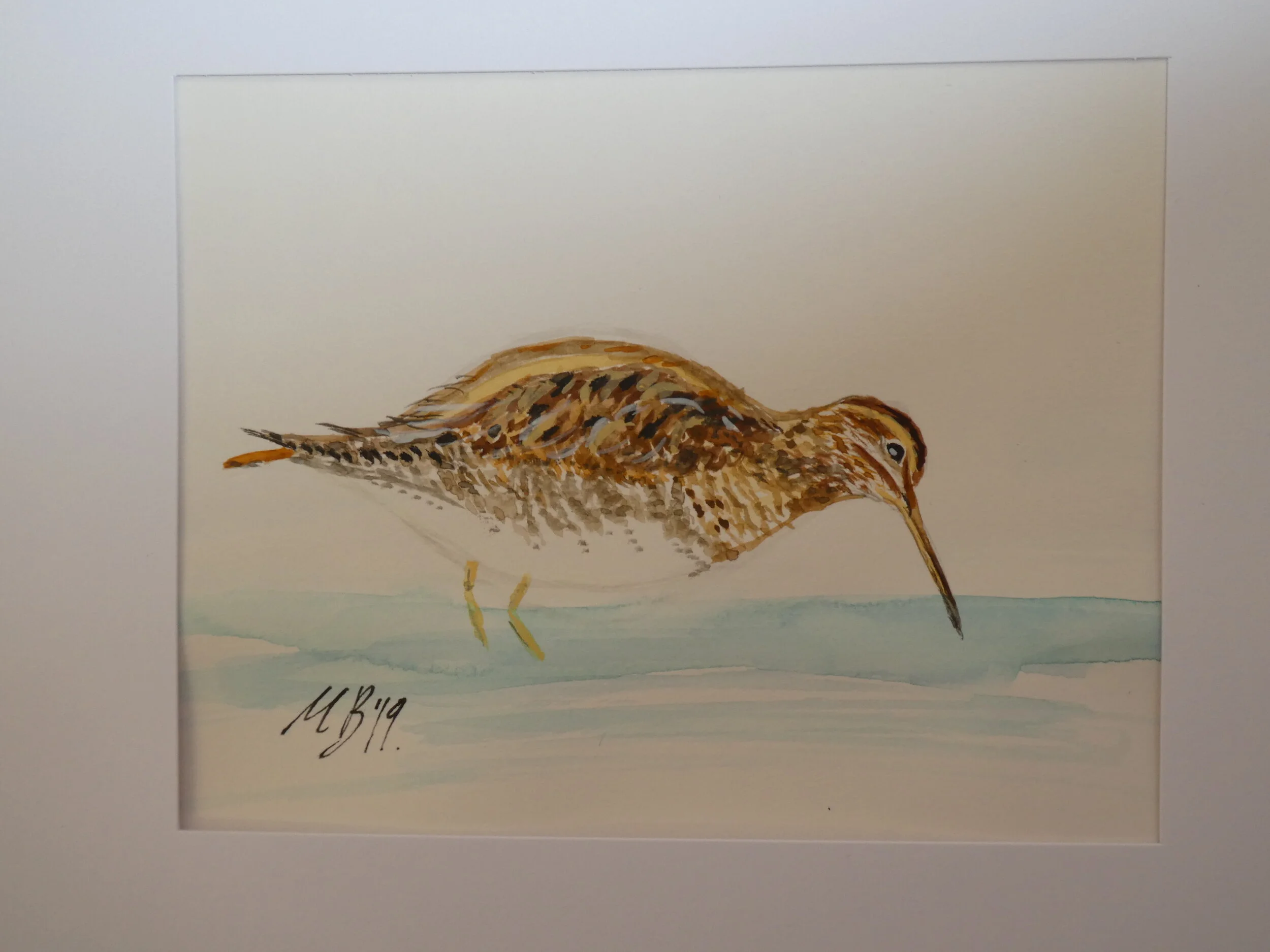 Curious Snipe 3