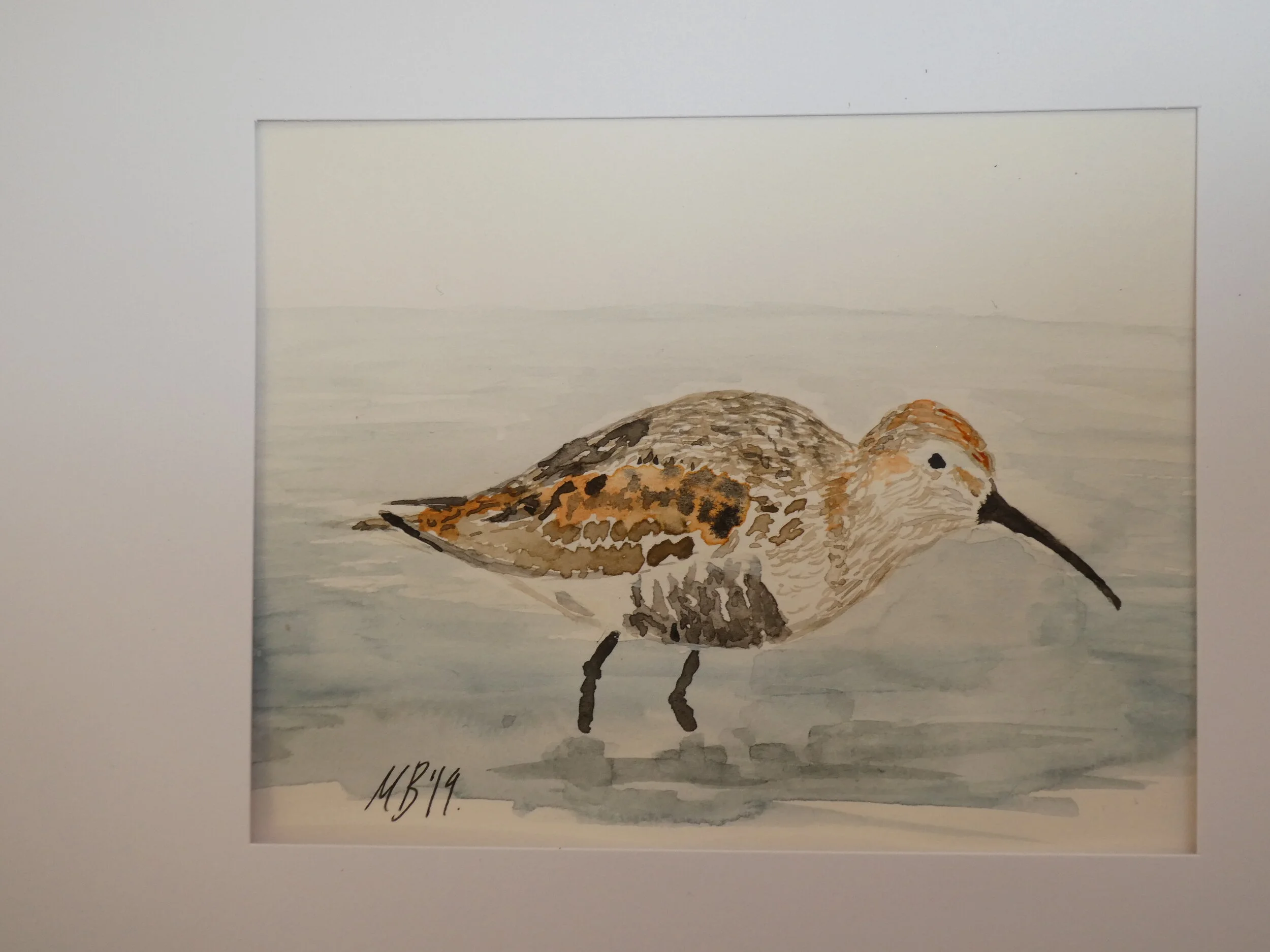 Winter Dunlin 3