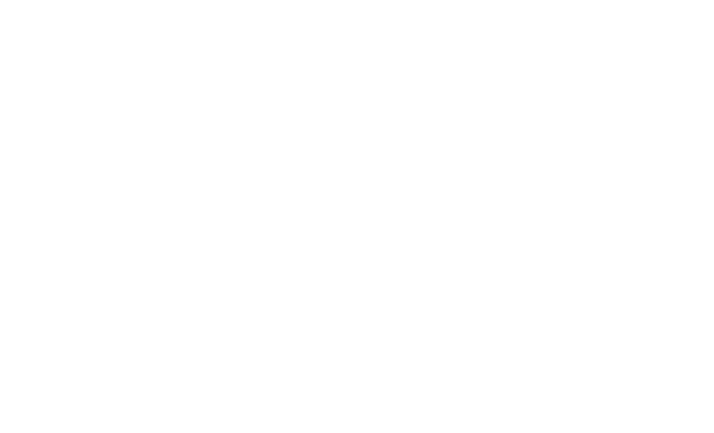 White logo - no background.png