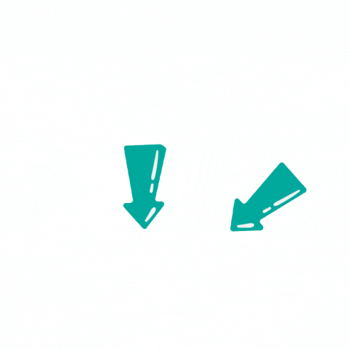 Summit Basics-11.gif