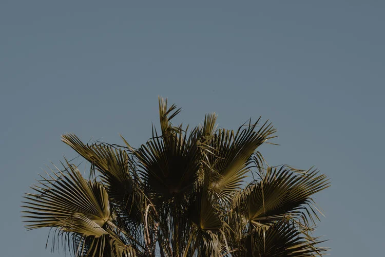 2020 Uranus and Neptune Retrograde (Energy Update)