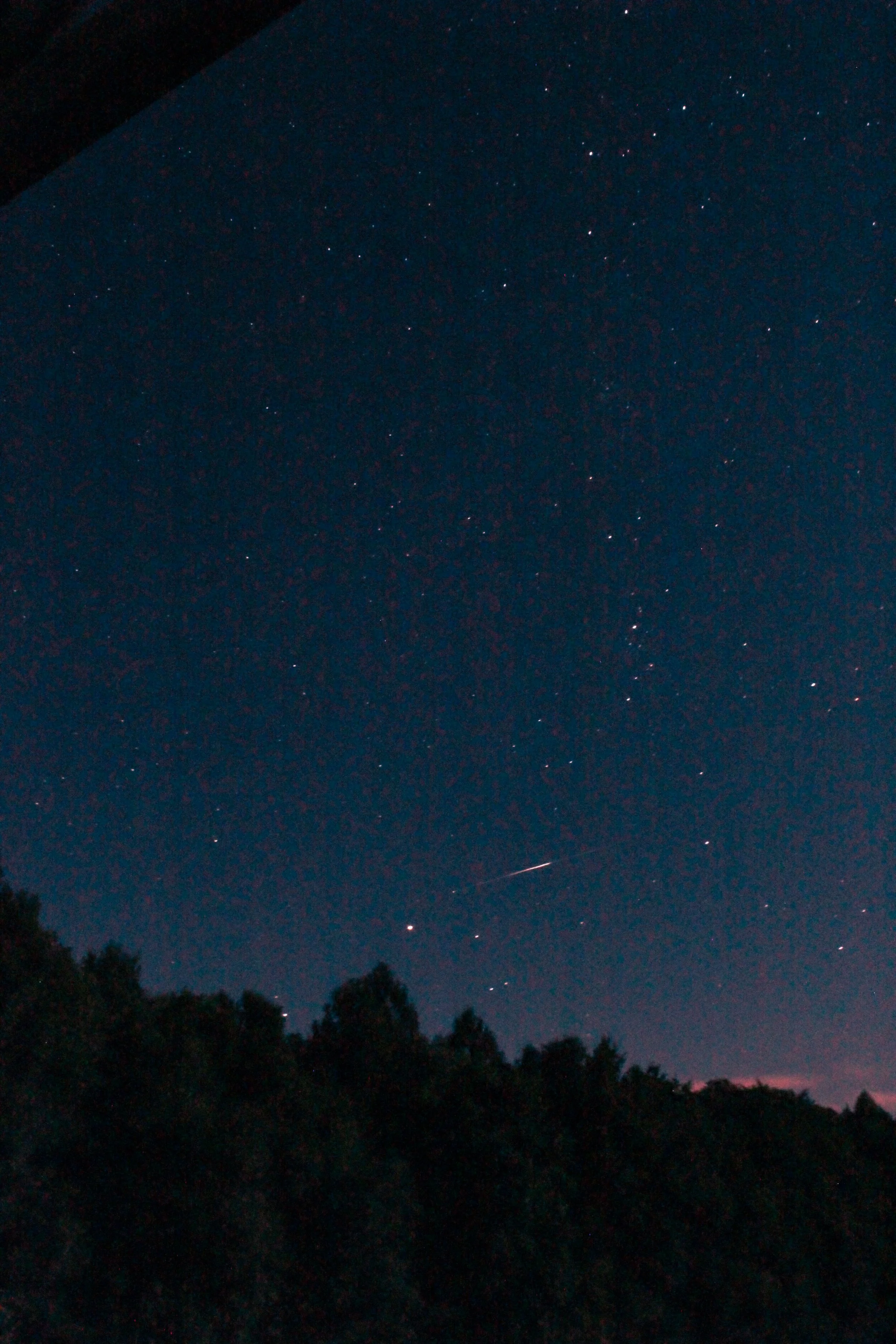 When Uranus Rules your Midheaven (Know your chart, Astrology Basics)