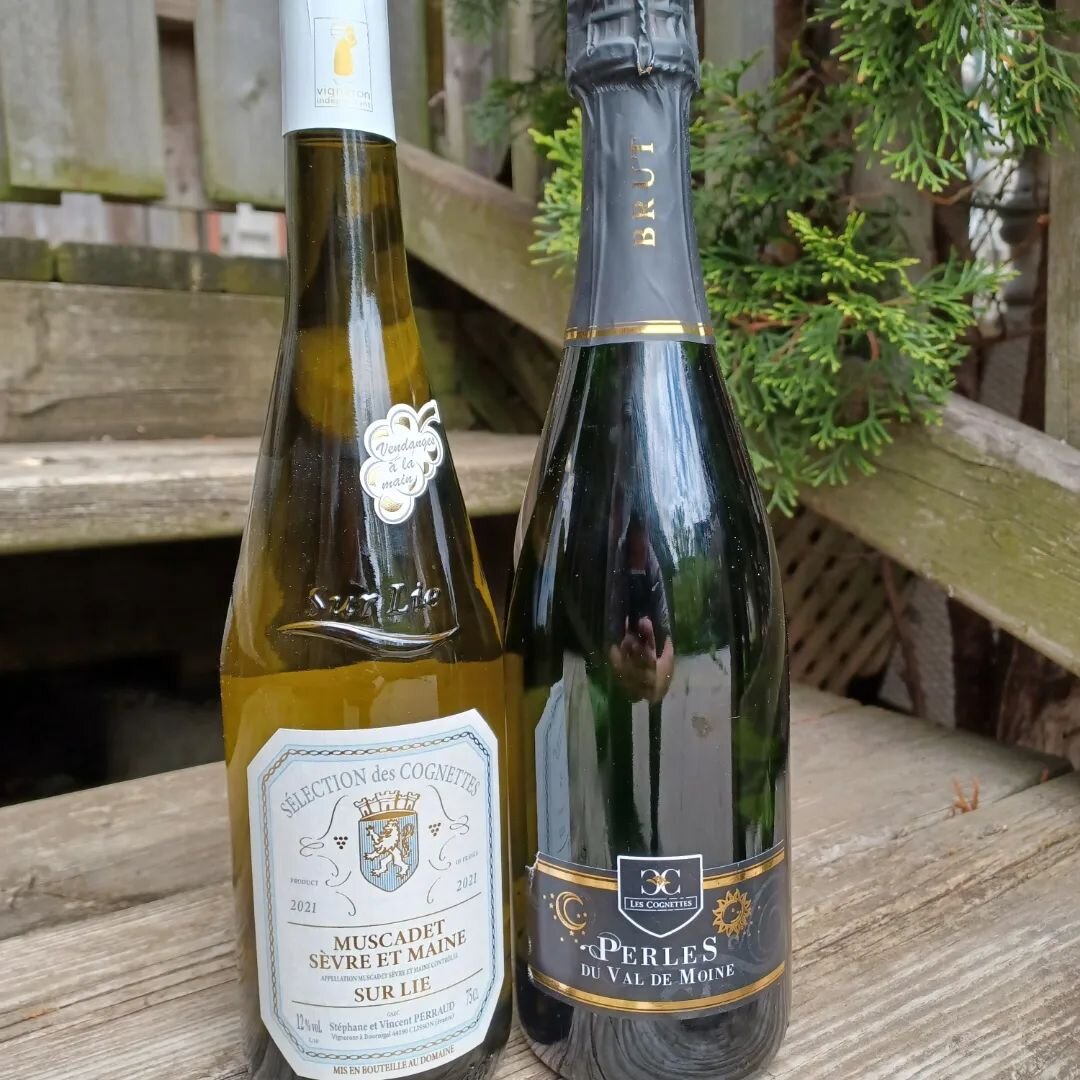 New vintage!  We just received the 2021 Muscadet Sevre et Maine from @domainedescognettes 

Beautiful soft white fruit. Silky texture from prolonged lees contact and 14mo in bottle. 
$24.5/lic
$26/retail

Perles du Val de Moine - Traditional method s