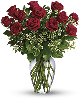 Roses R Red