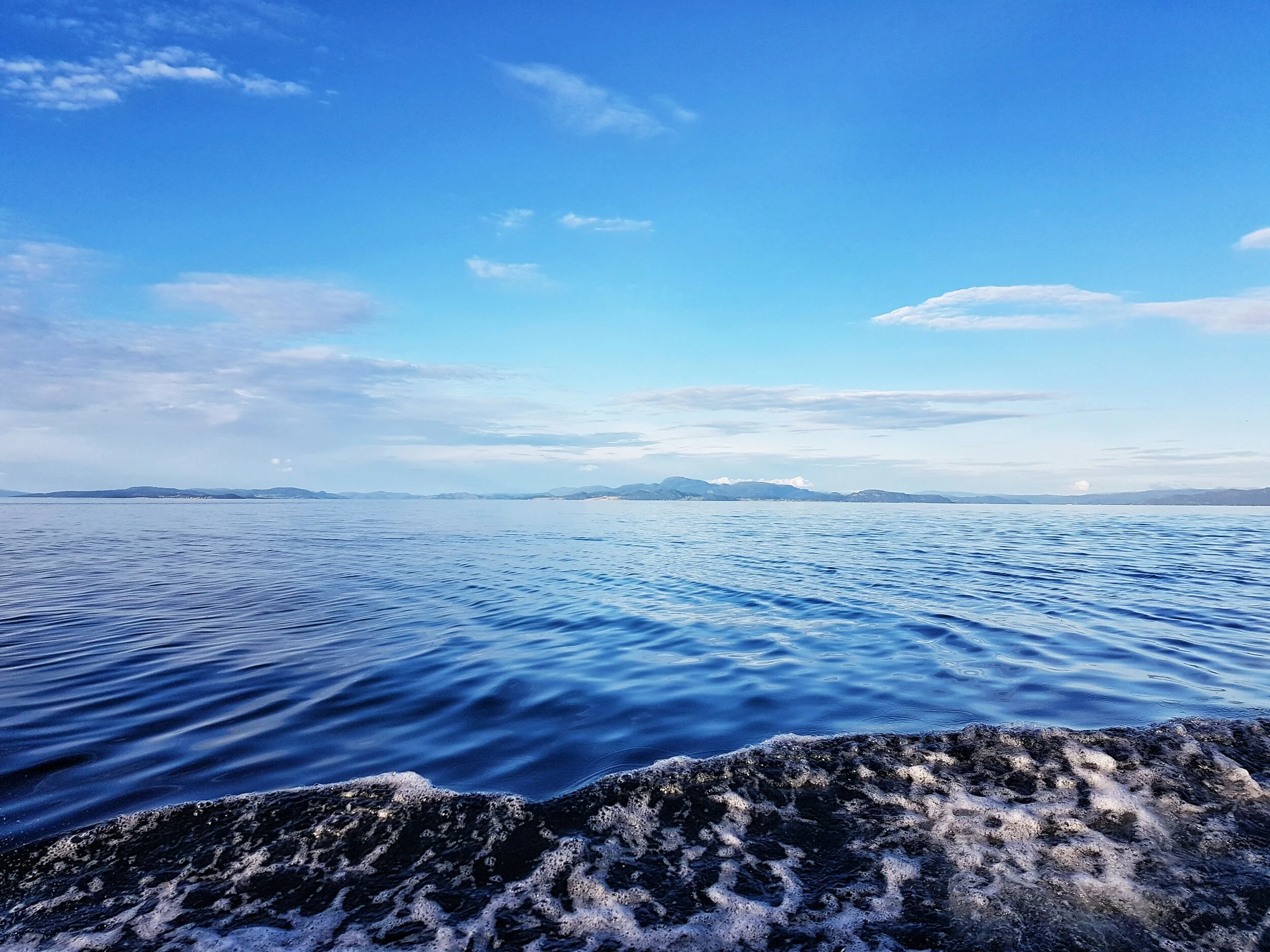 20200725_202743-01 (1).jpeg