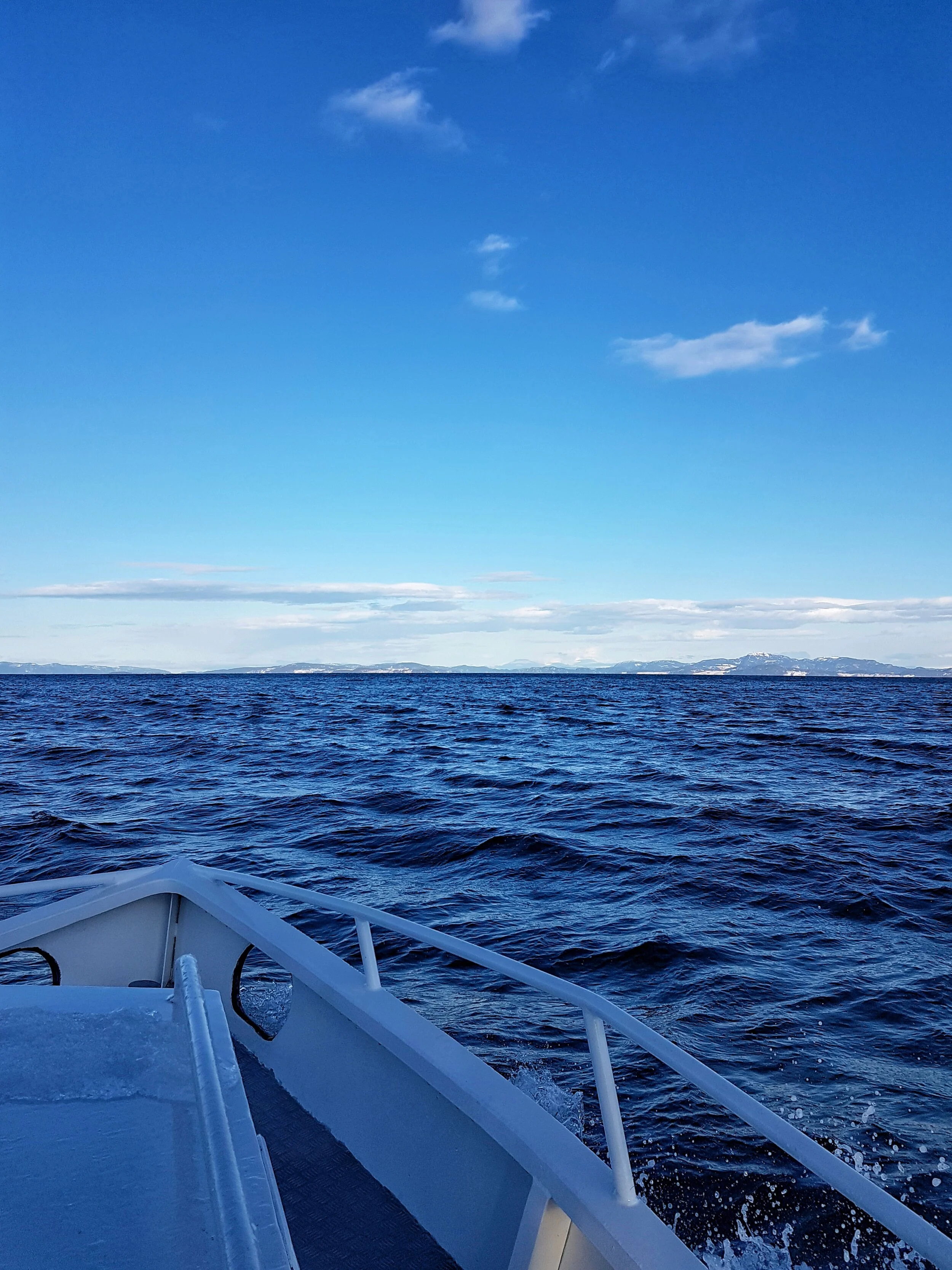 ranja fjord bluesky.jpeg