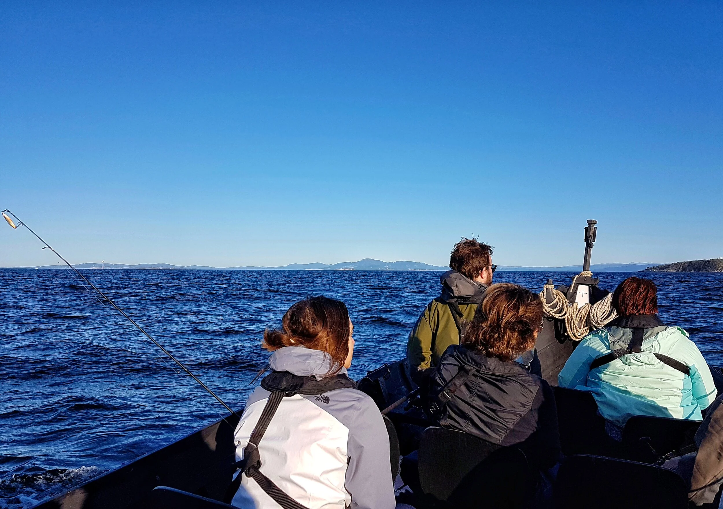 group frøya fjord bluesky.jpeg