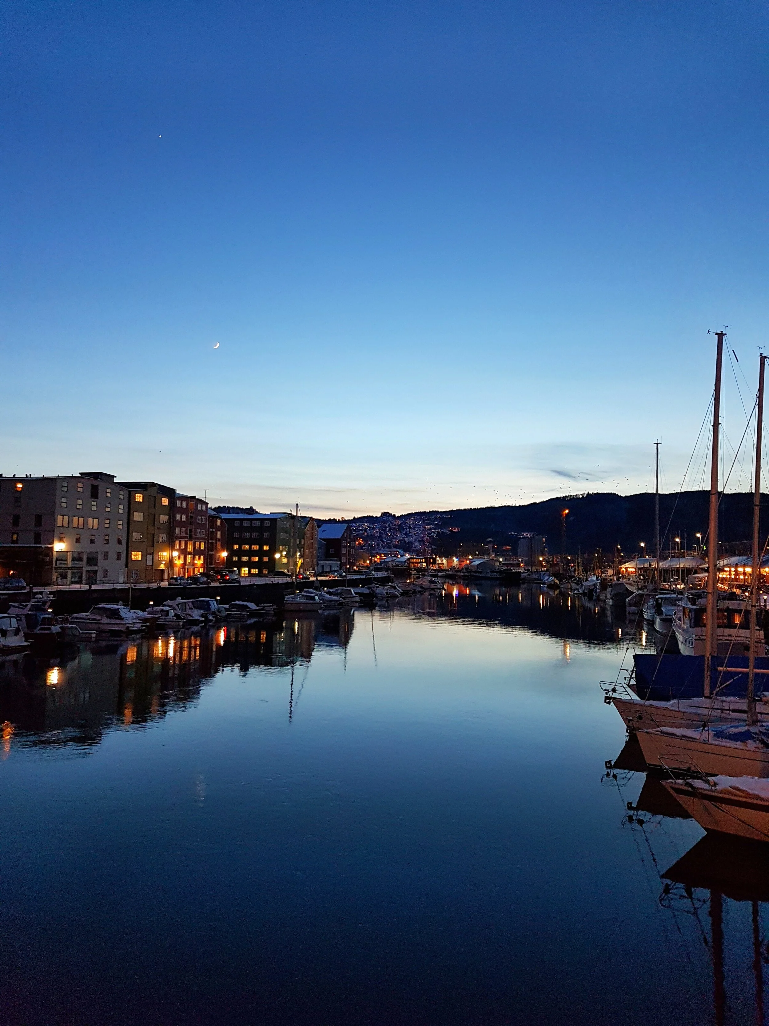 20200226_180643-01 (1).jpeg