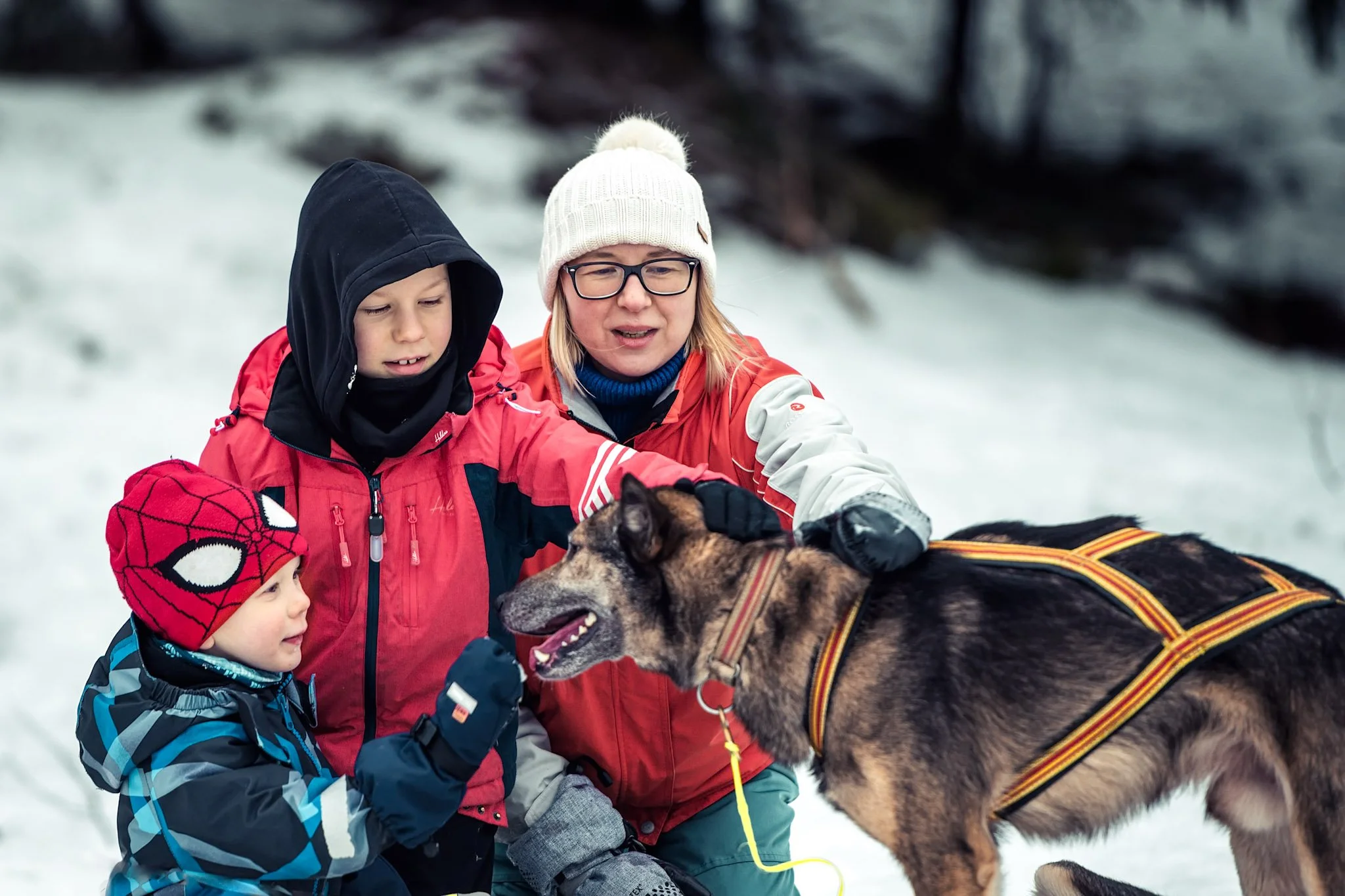 Dogsledding and Snowshoeing in Trondheim – A Family-Friendly Winter Adventure with Snowshoeing