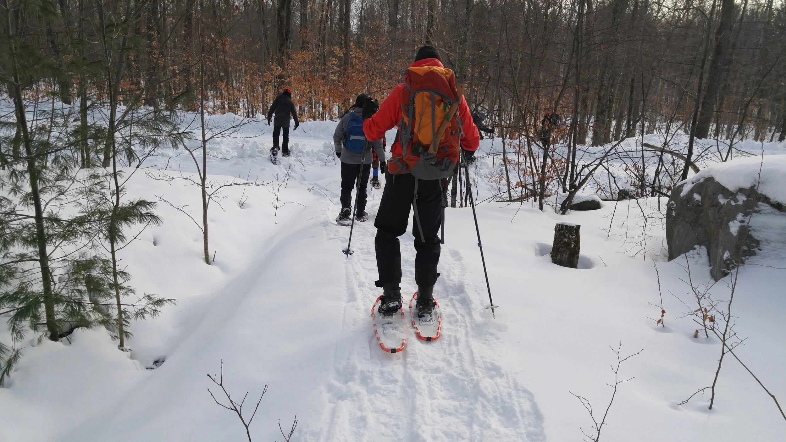 gruppe på truger.jpg