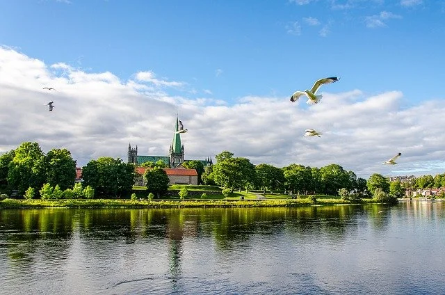 nidarosdomen med fugler sommer.jpg