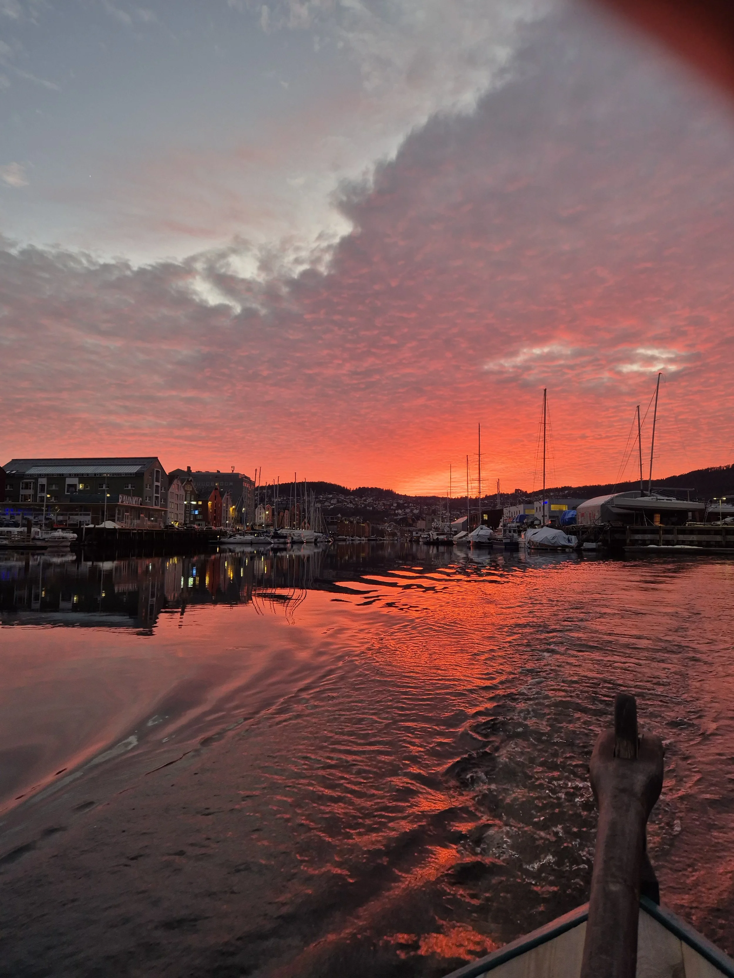 solnedgang kanalen rosa.jpg