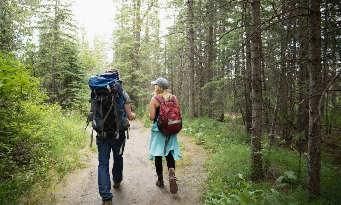 Pilgrims carrying backpacks on a forest path towards Trondheim