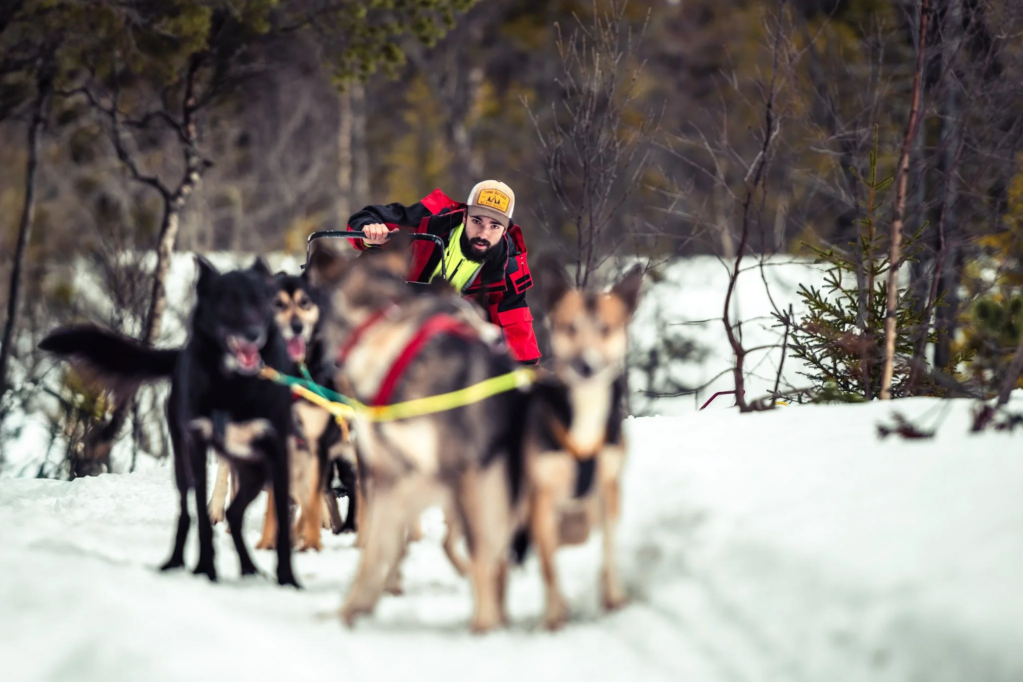 Rino med hundene.jpg