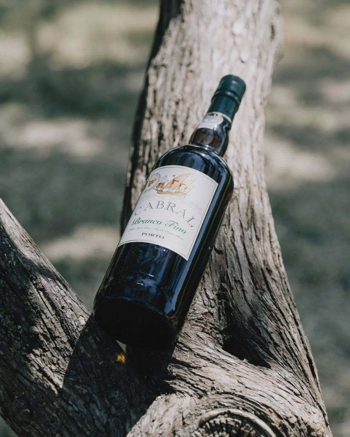 Capture d’écran, le 2024-02-29 à 14.26.15.jpeg