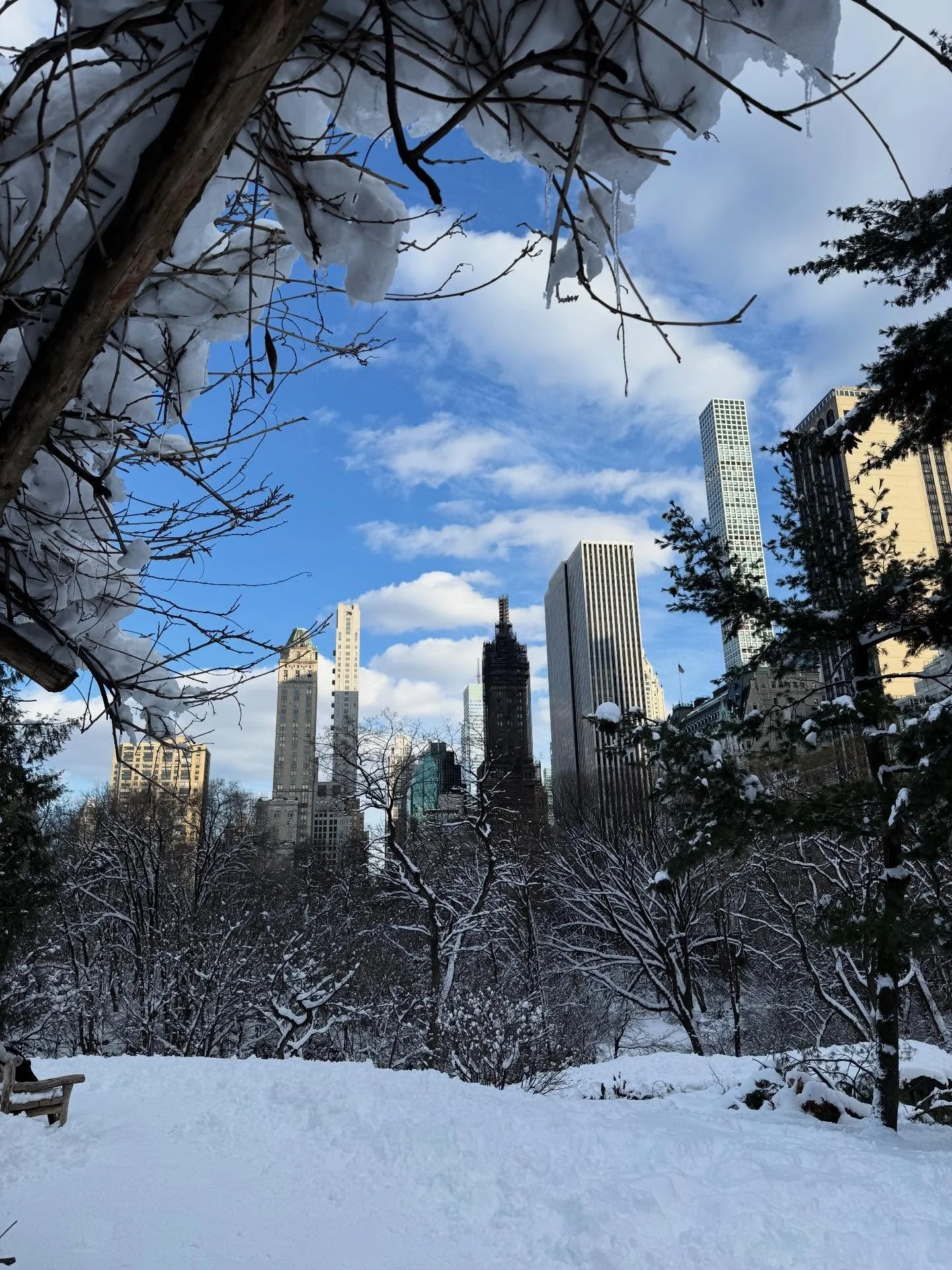 NYC moments 🌟

1-2. Central Park snow days
3. Best pastry of my whole entire life @rigorhillmarket 
4. The moment I realized I really really loved New York
5-6. Caffeine high from 1/2 a matcha 
7-9. Snow days in Prospect Park
10. The moment right be