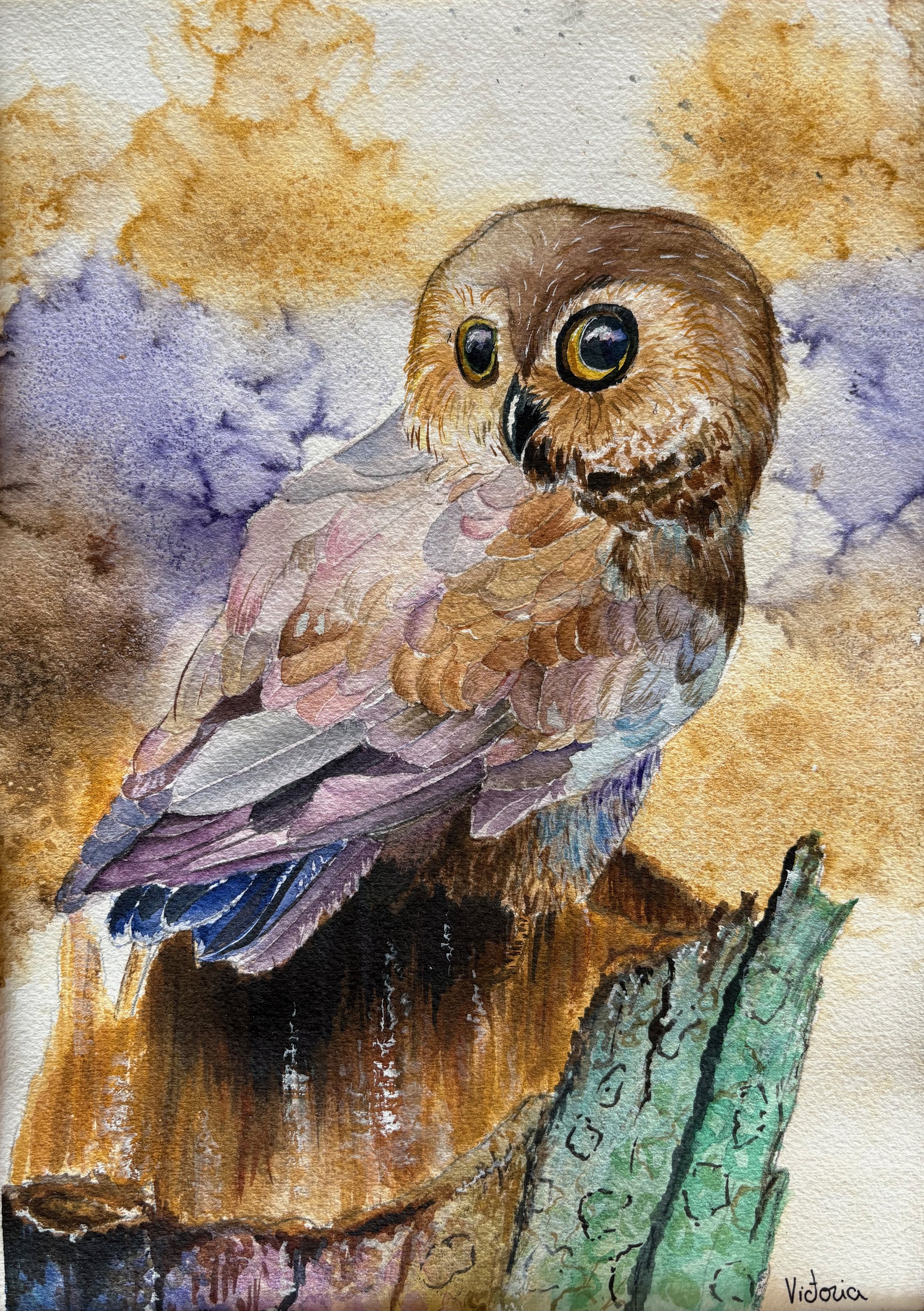 Ochi Sferici 21x30 cm