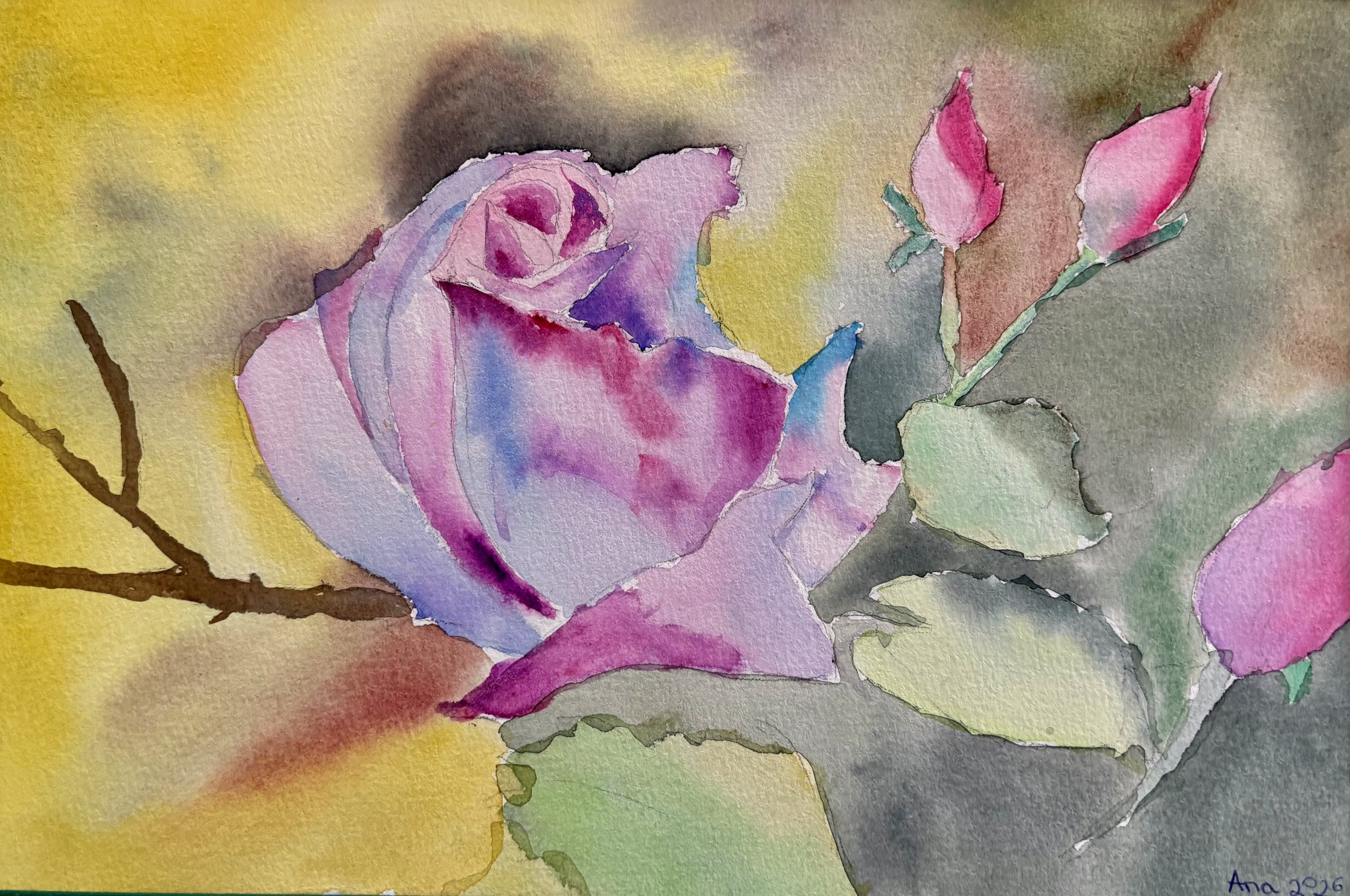 Gingǎșia Trandafirului -28x 33 cm.jpeg