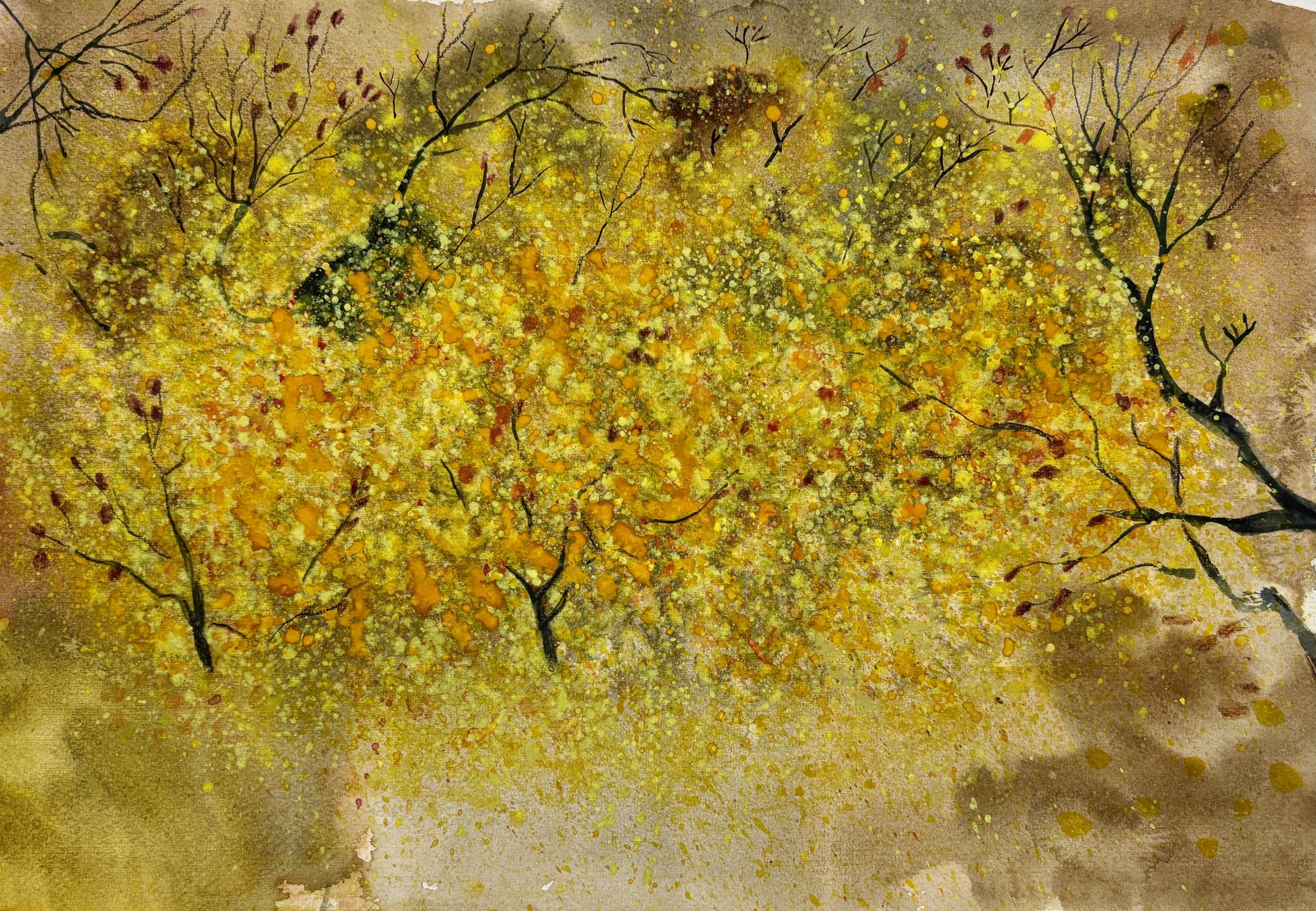 Printre frunze 32x46 cm