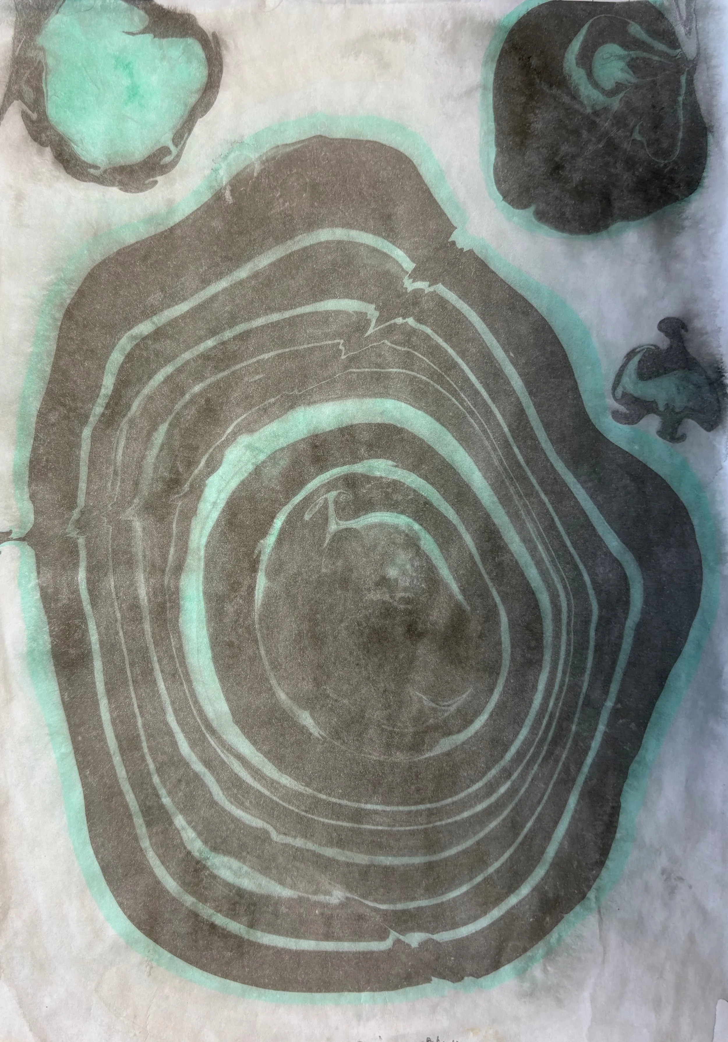 Concentrare 21x29 cm
