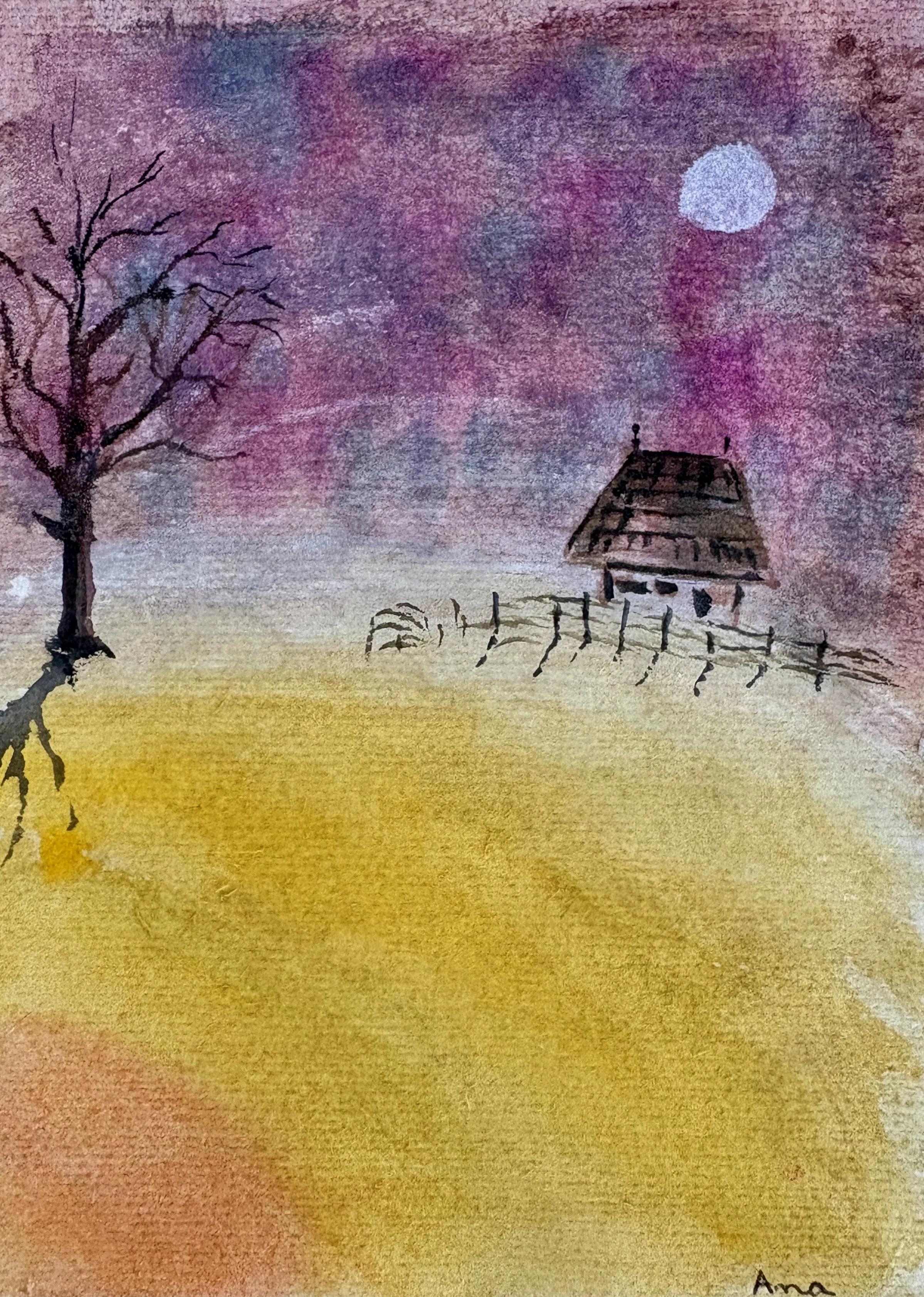 Casa pǎrǎsitǎ 12 x1 7 cm