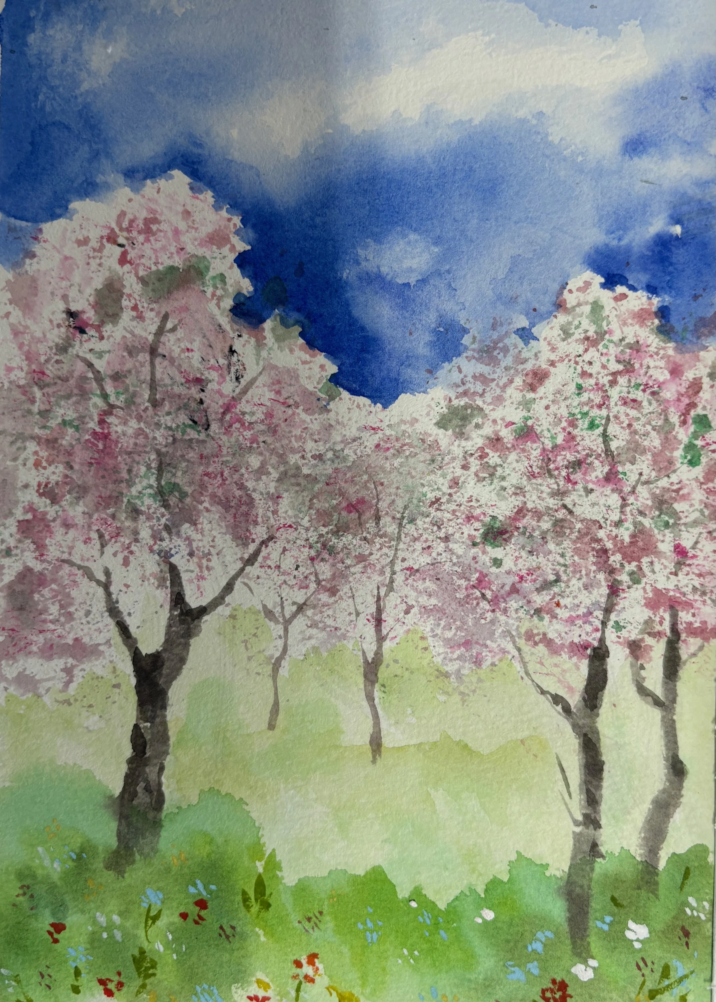 În livadǎ. 16x23 cm