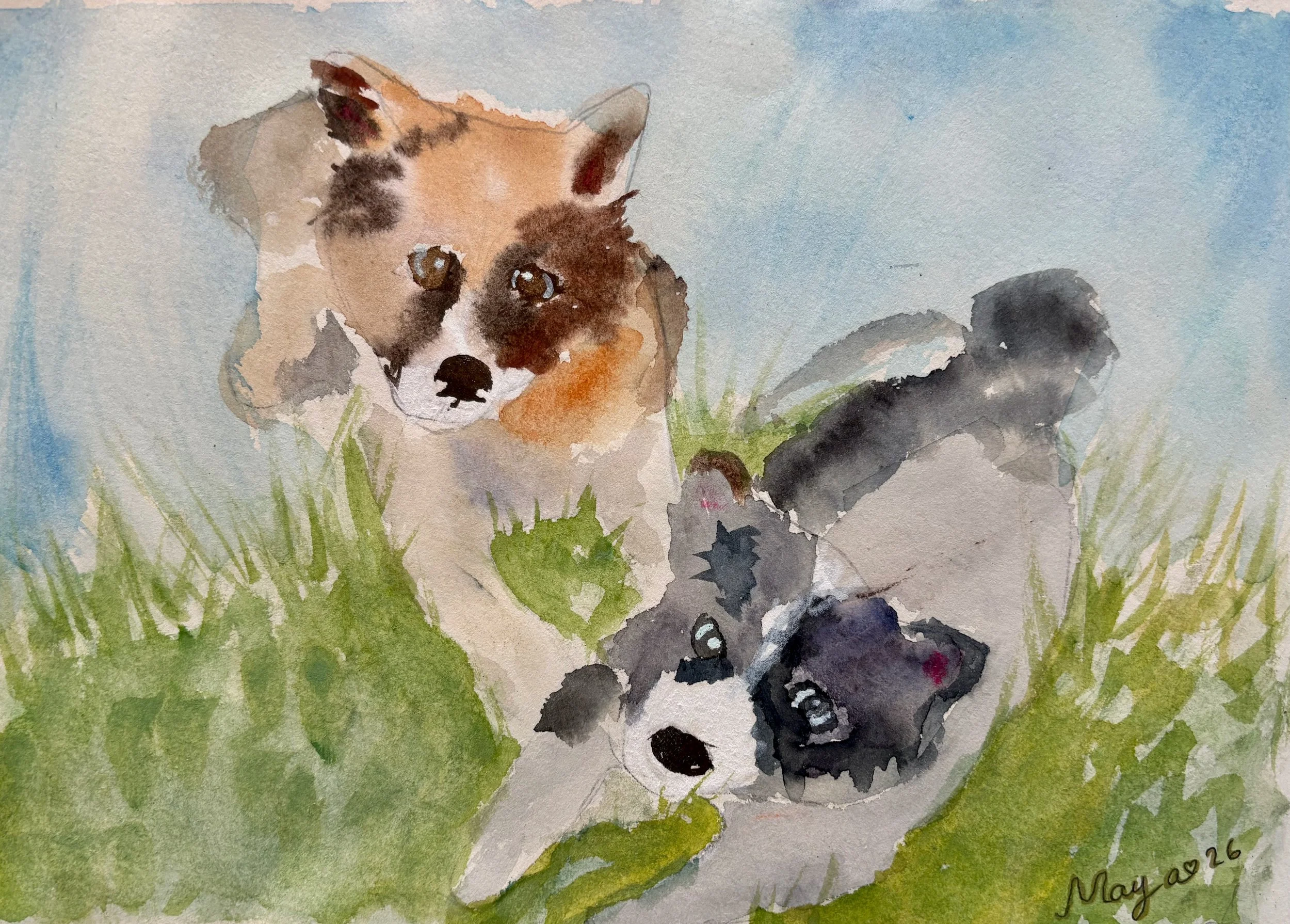 Doi cǎței jucǎuși (17x 26cm).jpeg