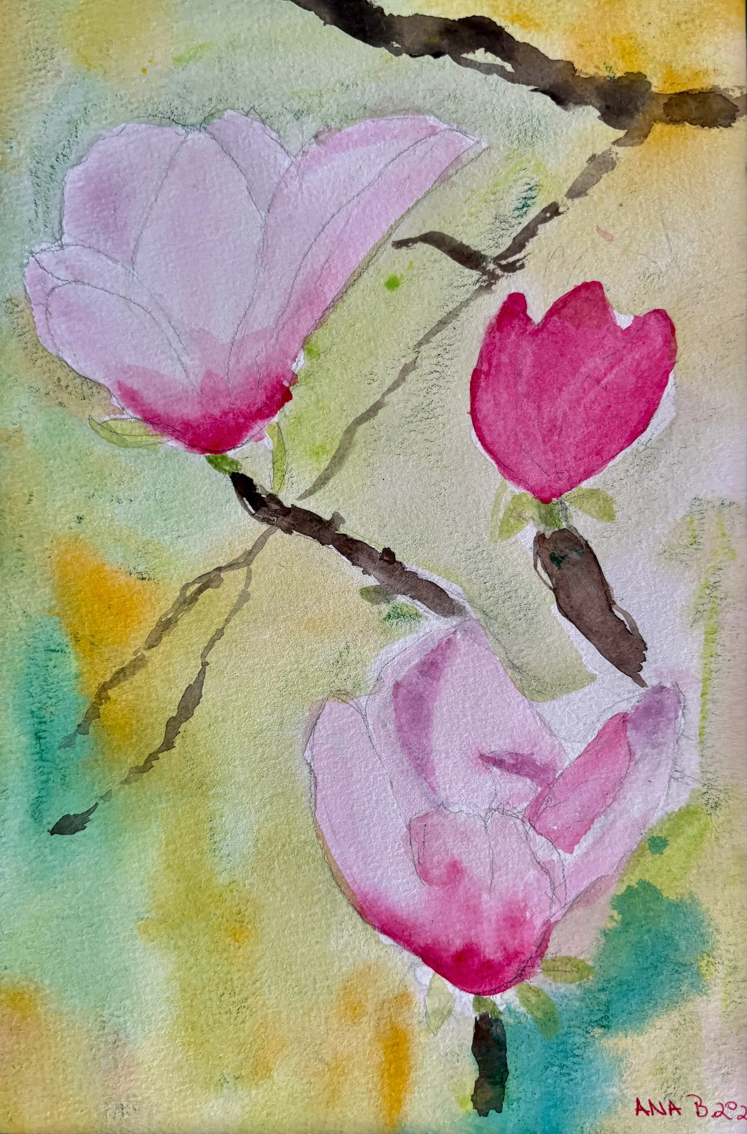 Trei Magnolii 28x33 cm