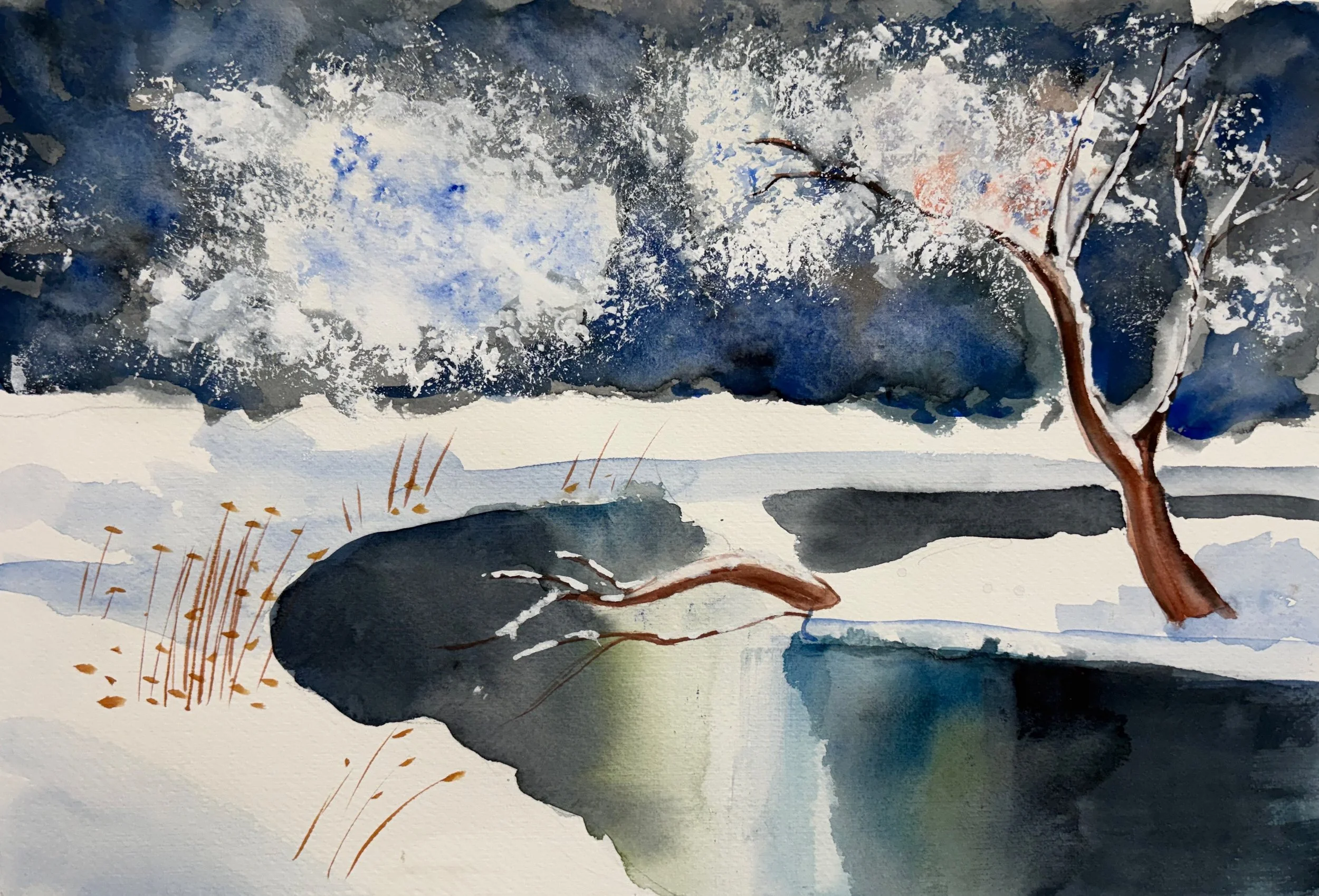 O iarnǎ frumoasǎ 26x40 cm