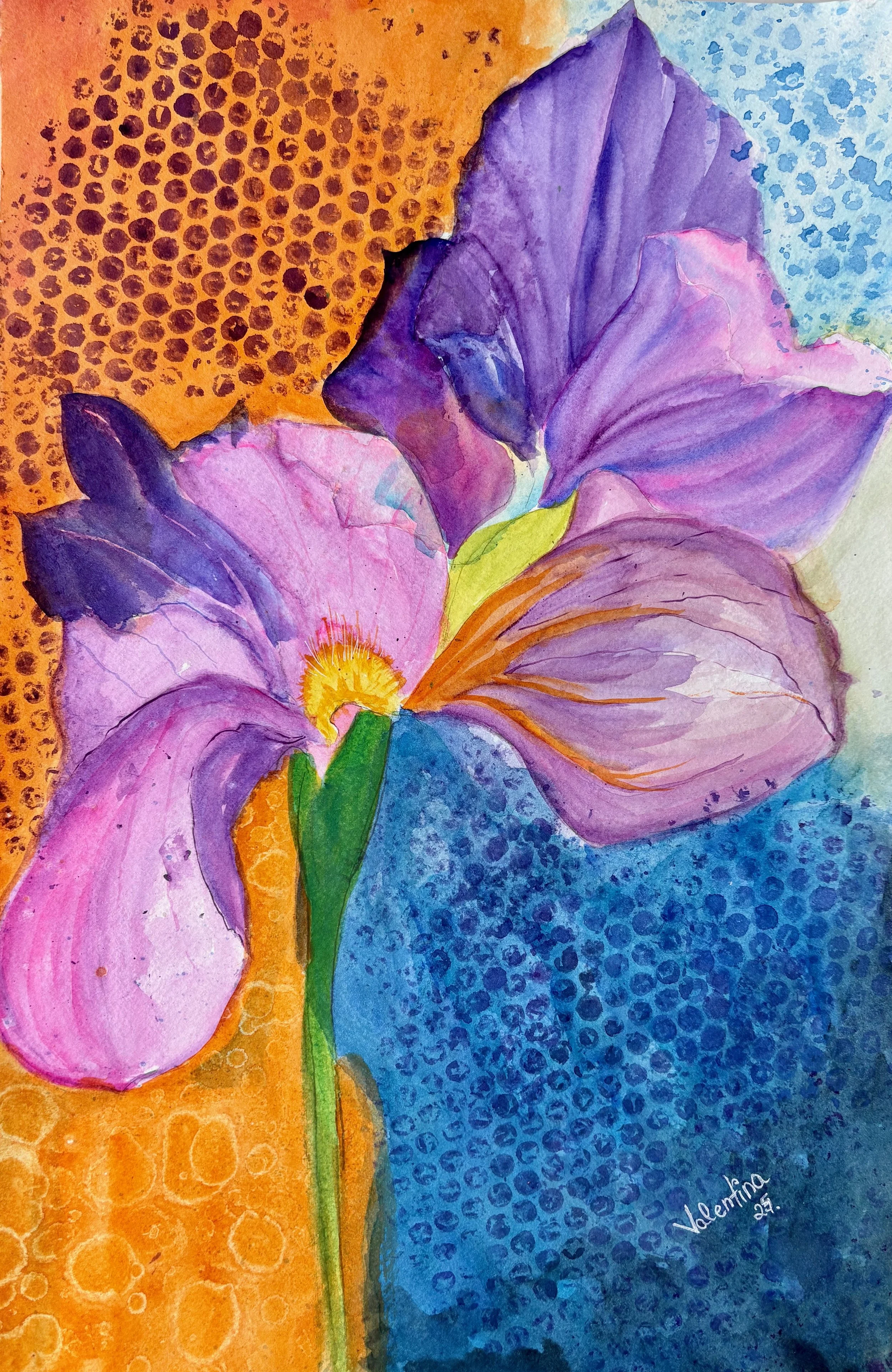 Acrobația irișilor 34x50 cm.jpeg